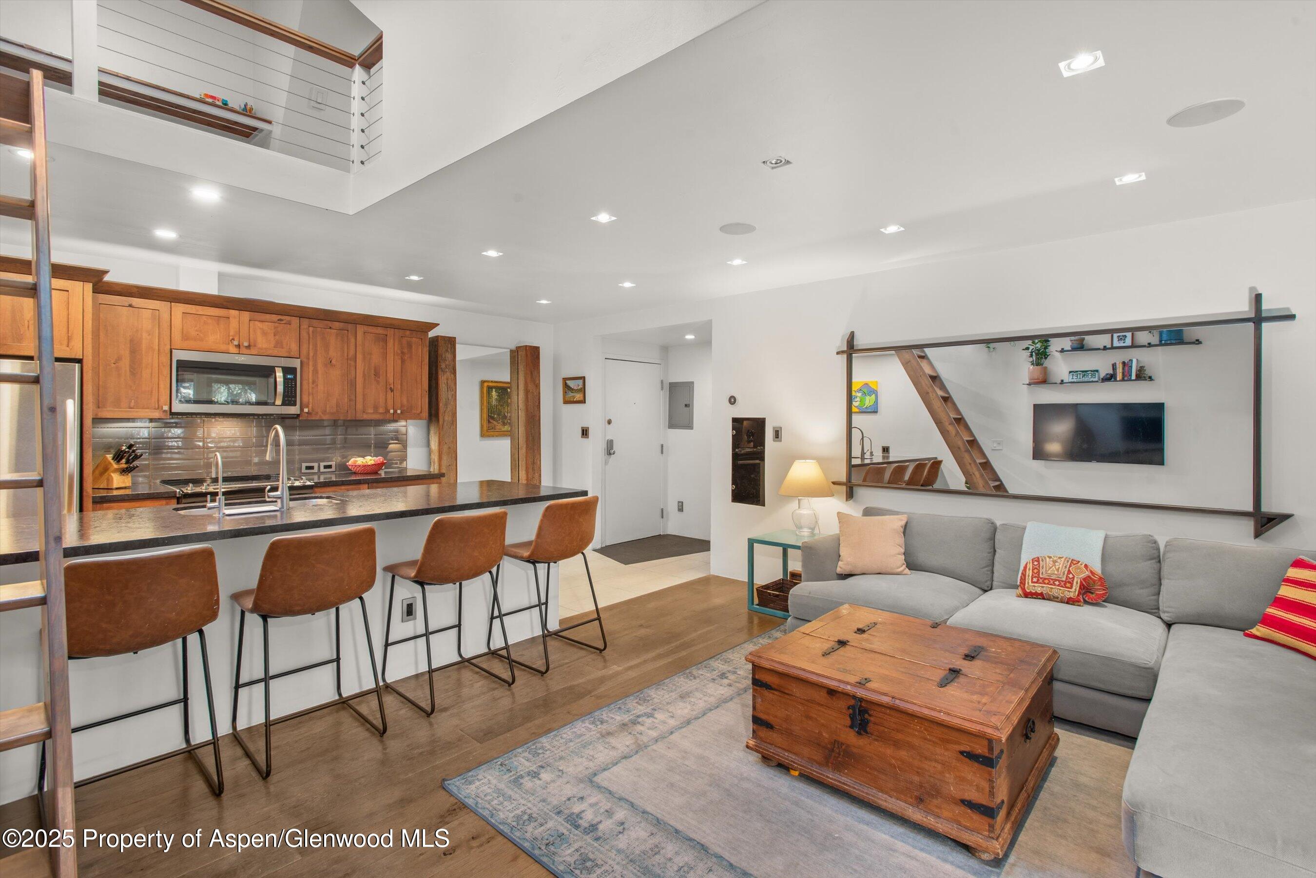 Aspen CO, 910 W Hallam Street, Unit Unit 11