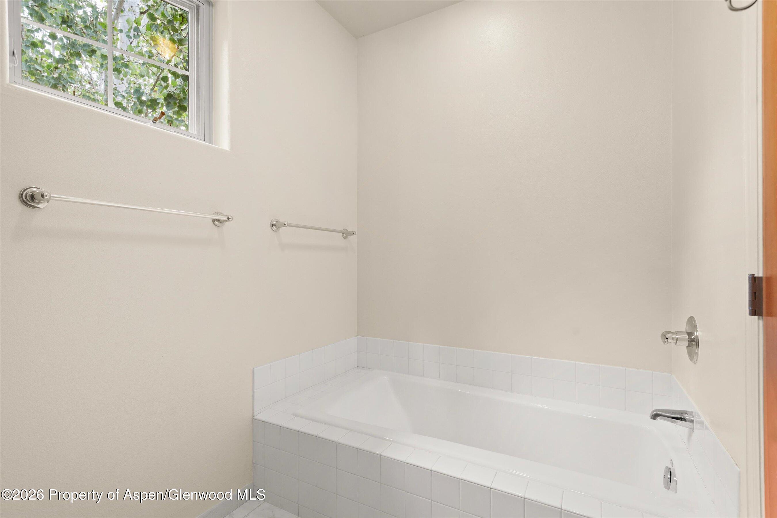 610 Evans Court Basalt CO 81621