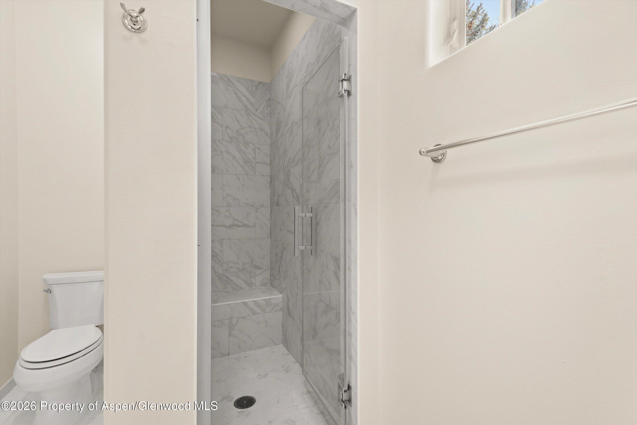 610 Evans Court Basalt CO 81621