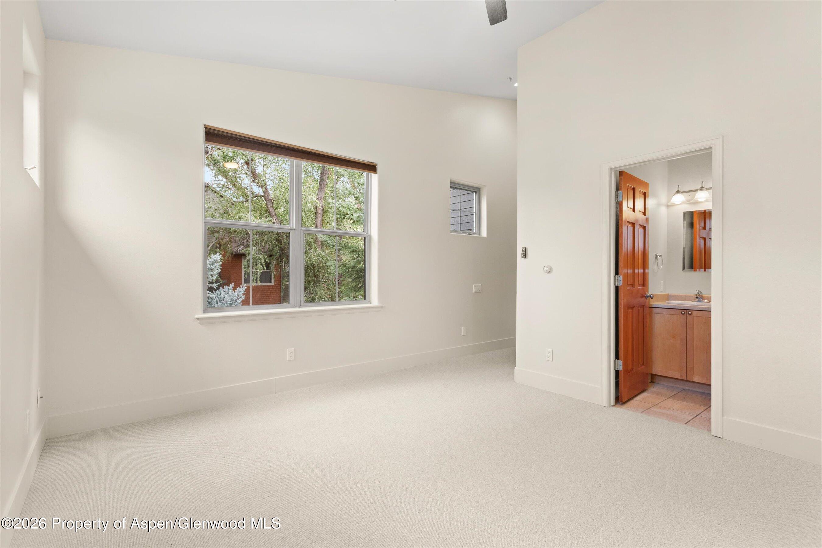 610 Evans Court Basalt CO 81621