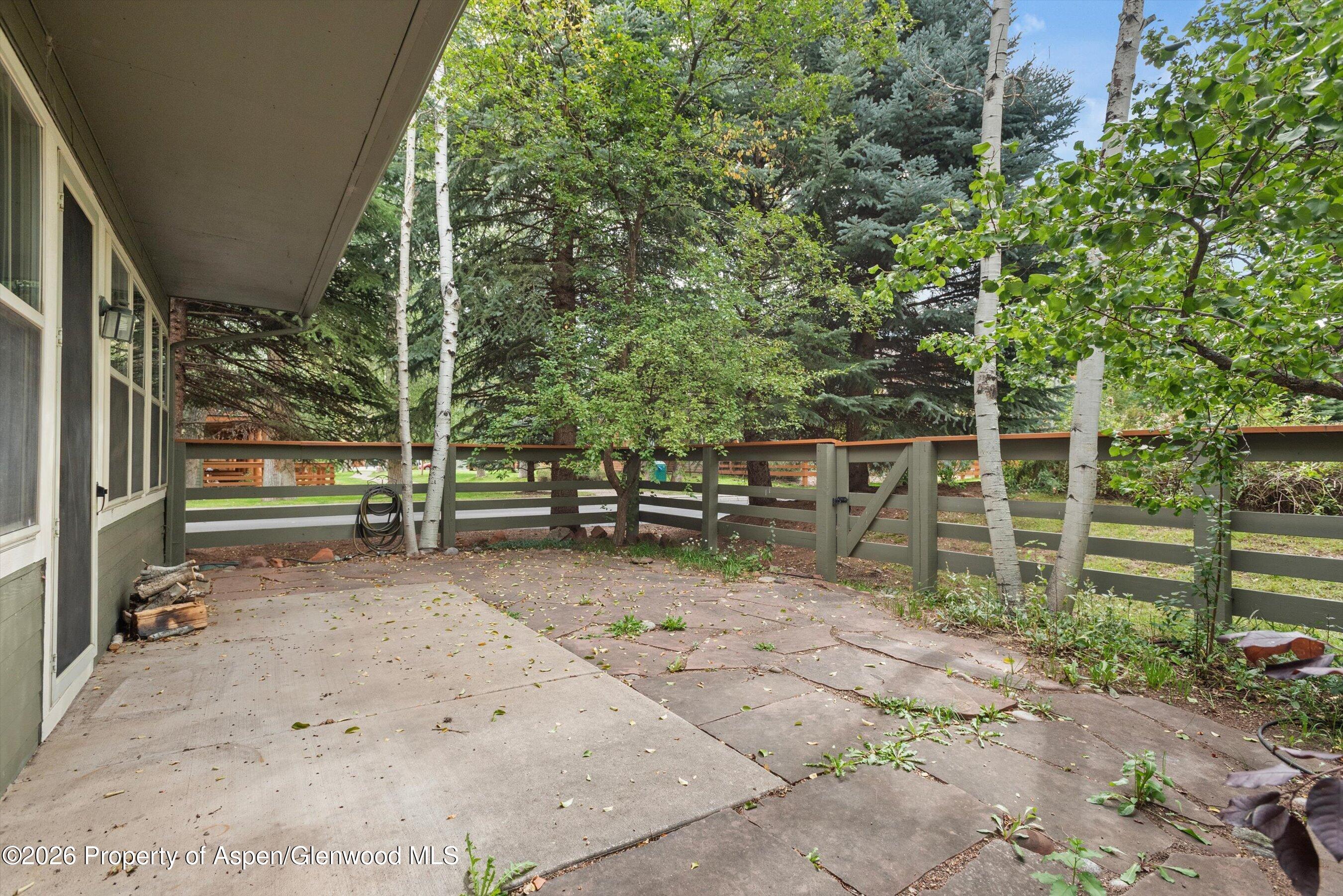 610 Evans Court Basalt CO 81621