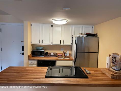 213 Vine Street Aspen CO 81611