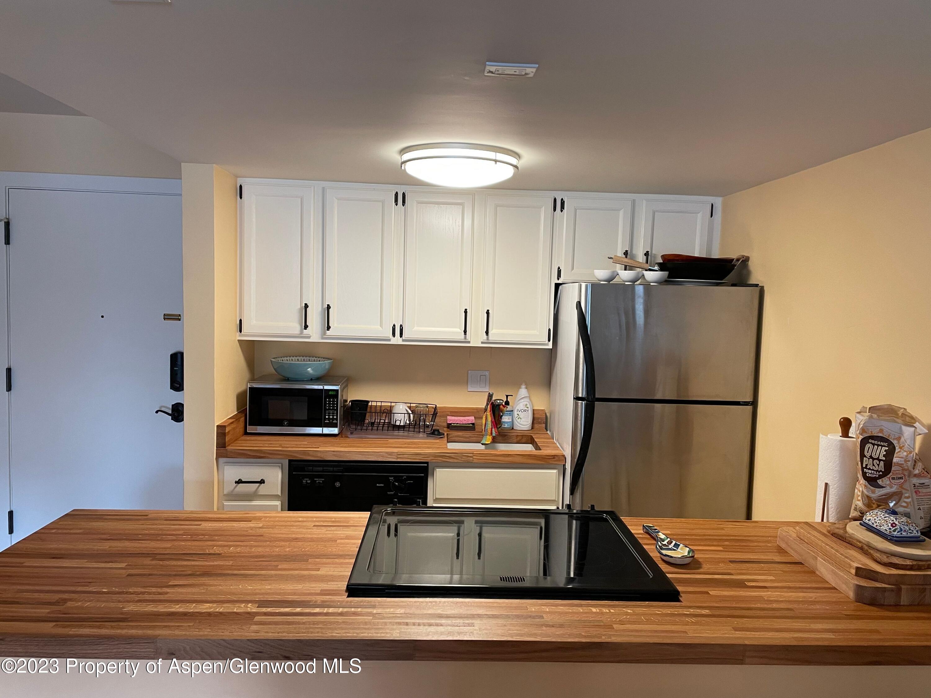 213 Vine Street Aspen CO 81611