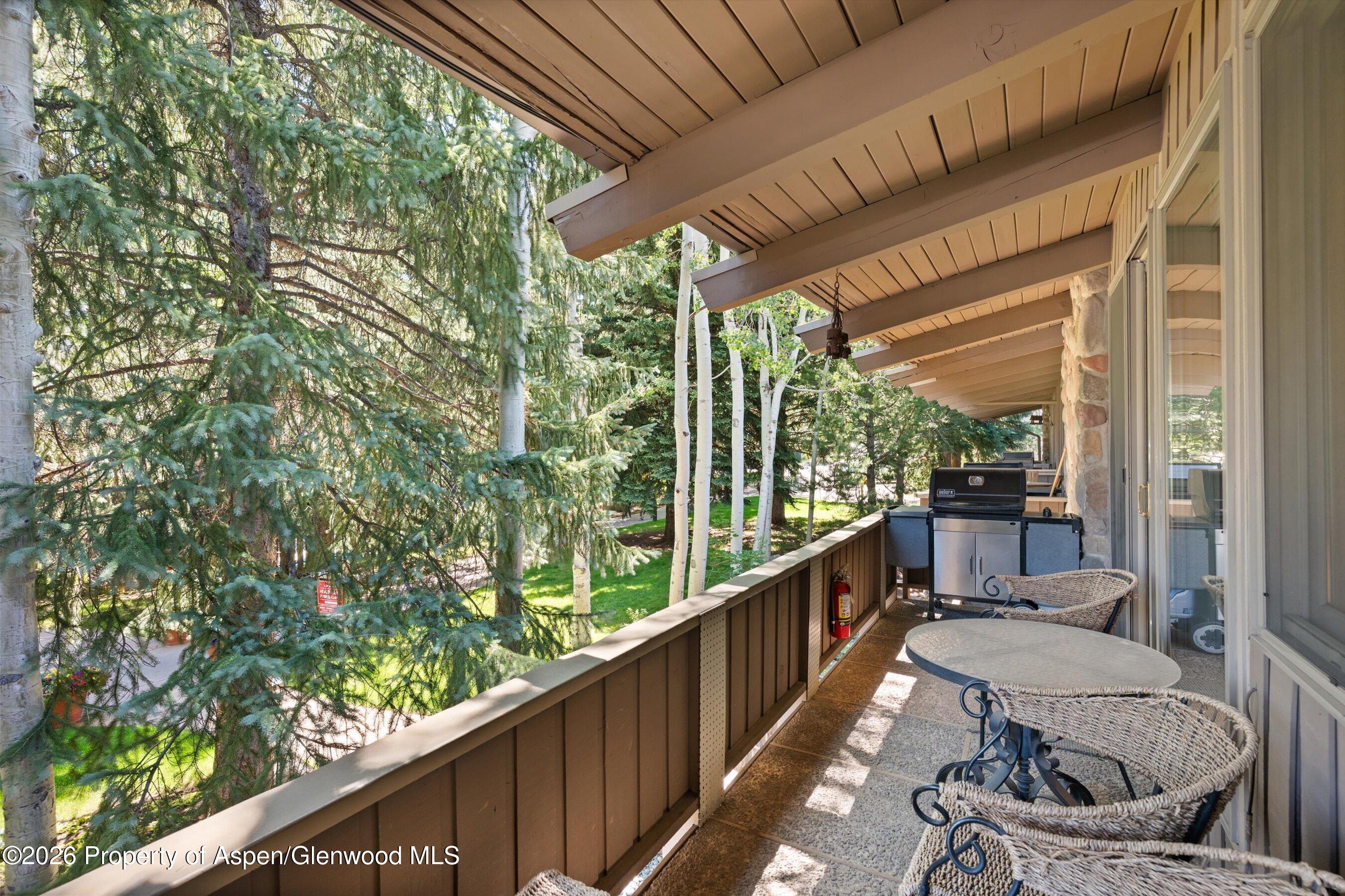 700 Ute Avenue Aspen CO 81611