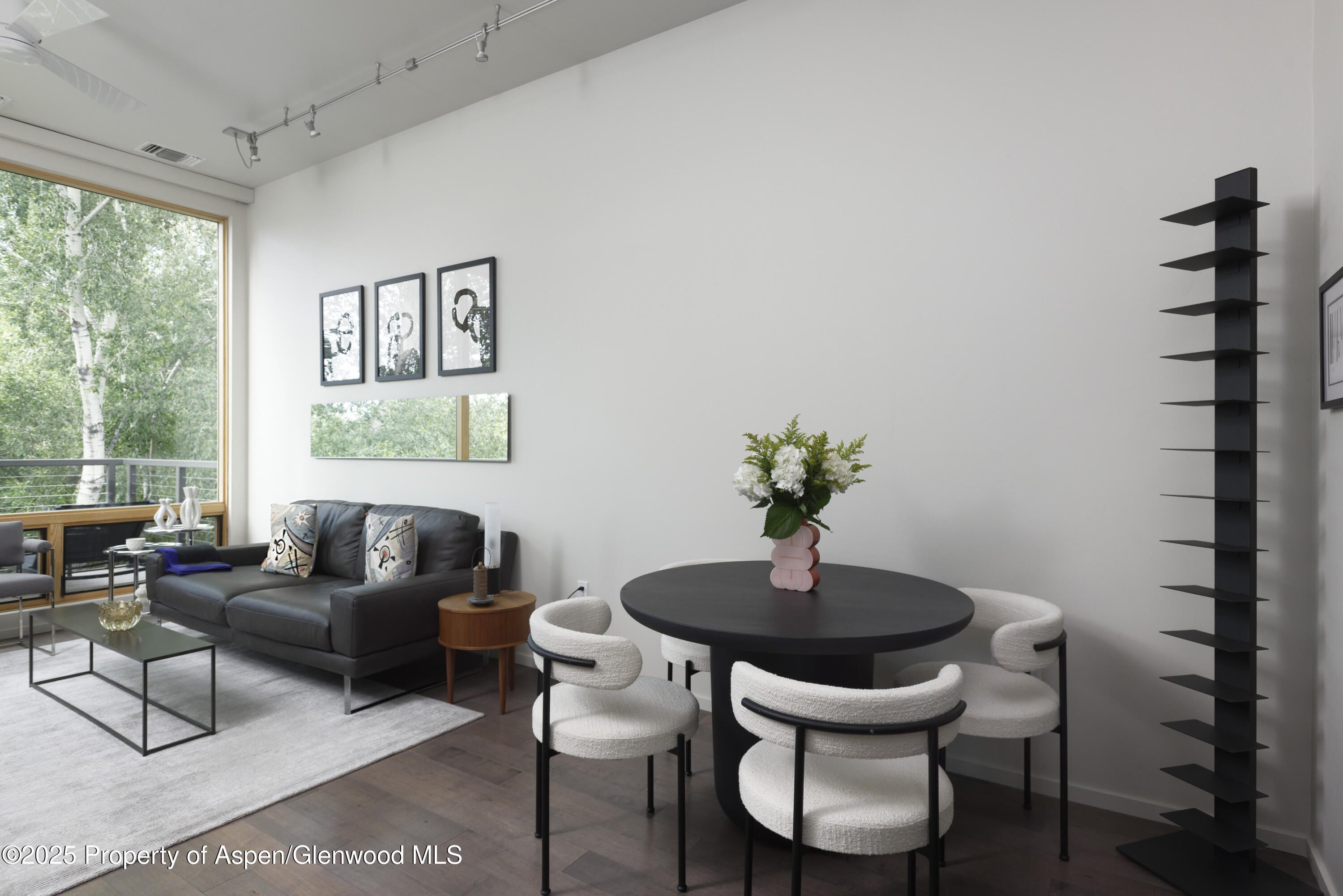 104 Evans Road Basalt CO 81621