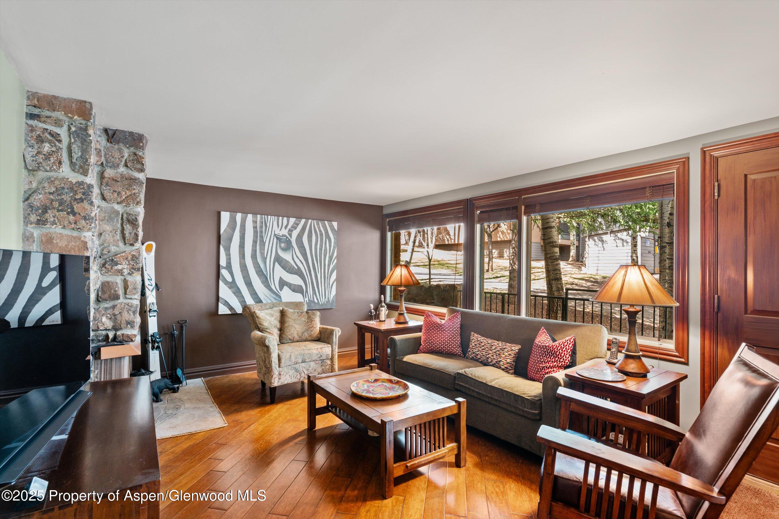 731 S Mill Street Aspen CO 81611