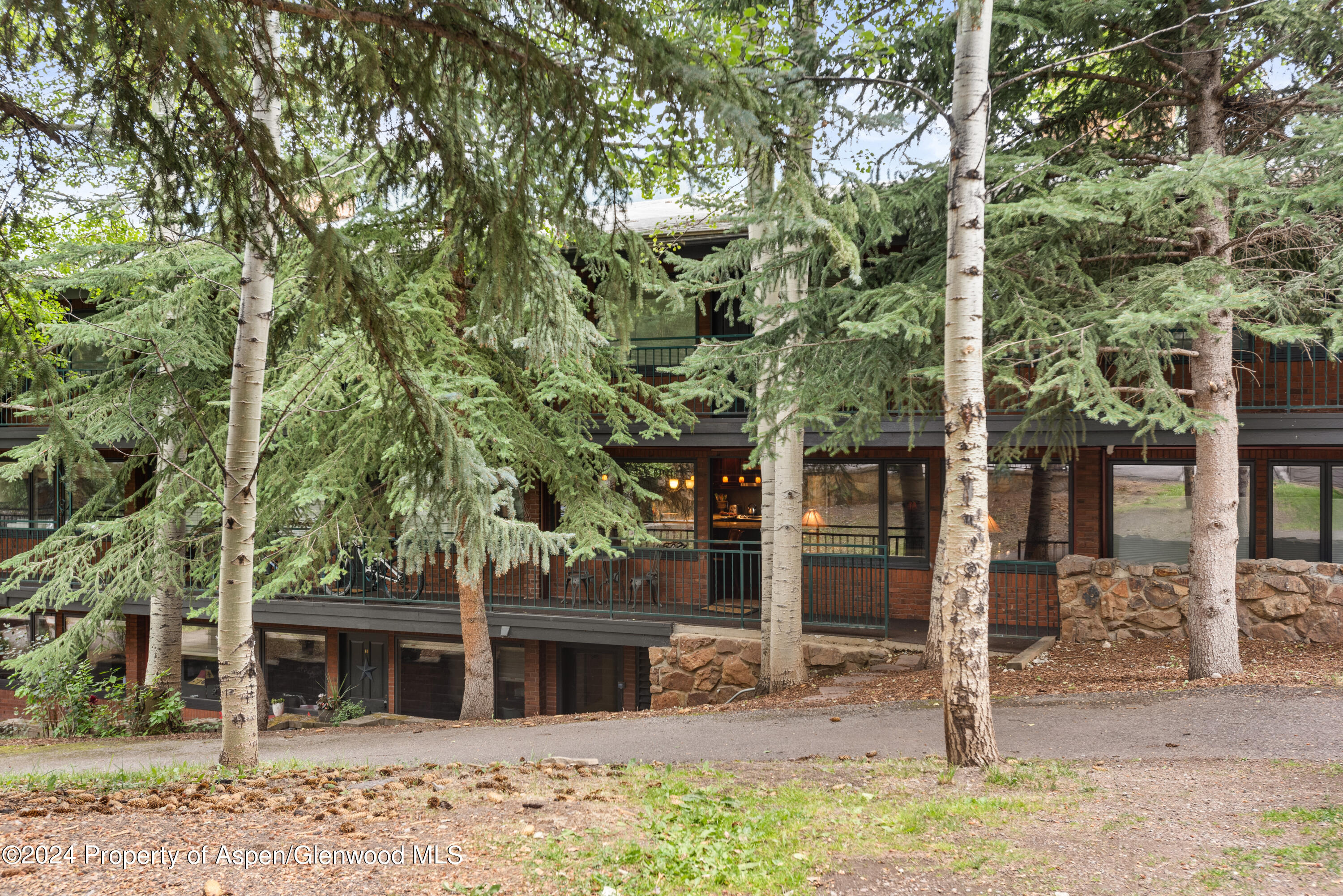 731 S Mill Street Aspen CO 81611