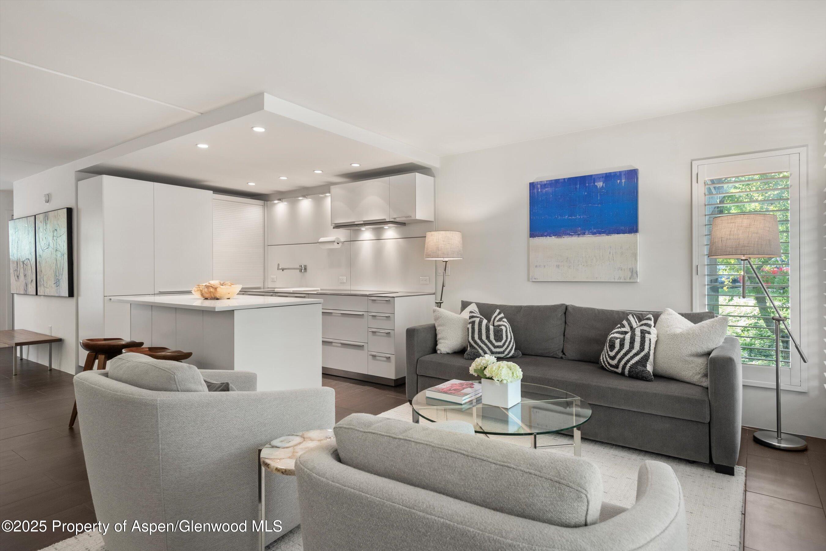 Aspen CO, 800 E Hopkins Avenue, Unit A-3