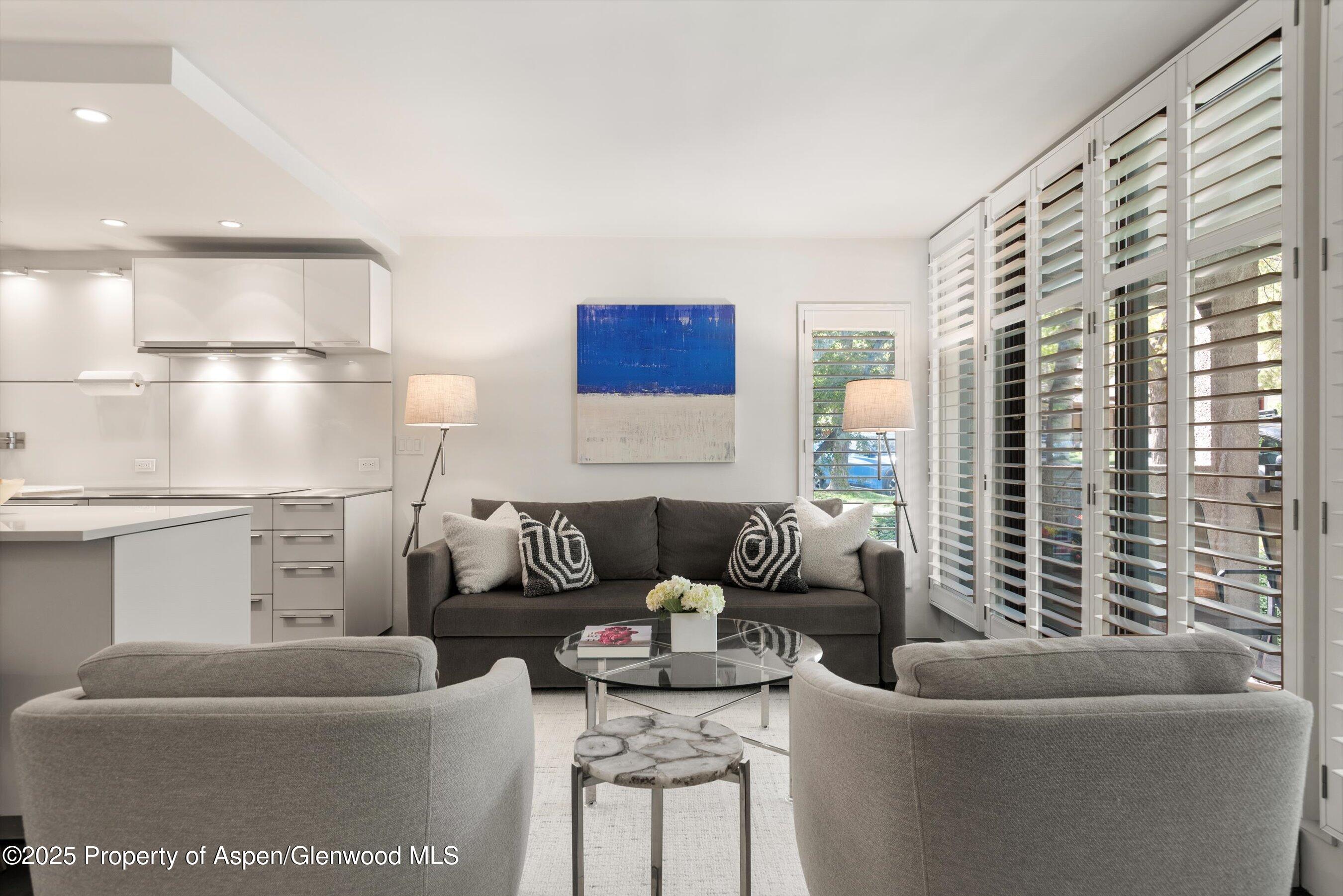 800 E Hopkins Avenue Aspen CO 81611