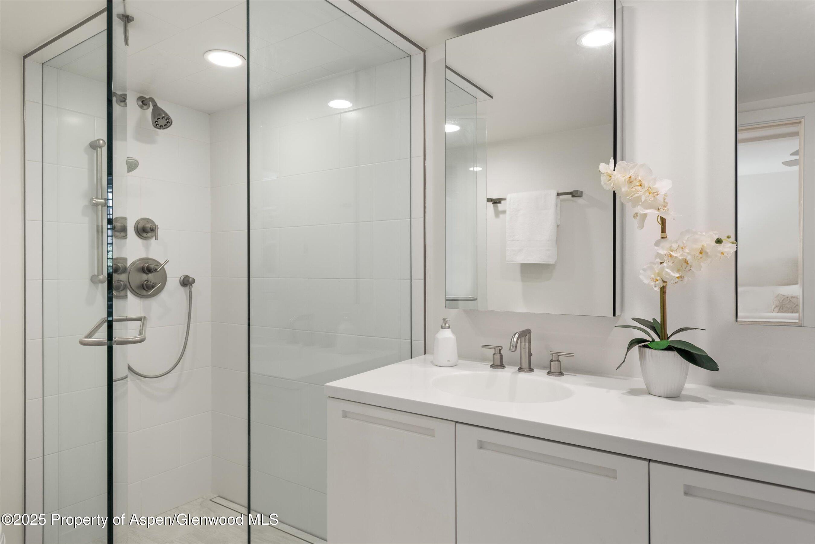 800 E Hopkins Avenue Aspen CO 81611