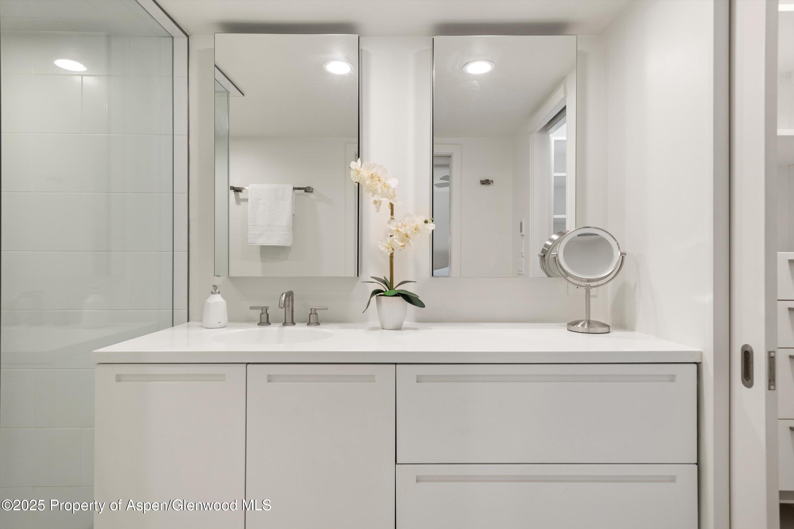 800 E Hopkins Avenue Aspen CO 81611