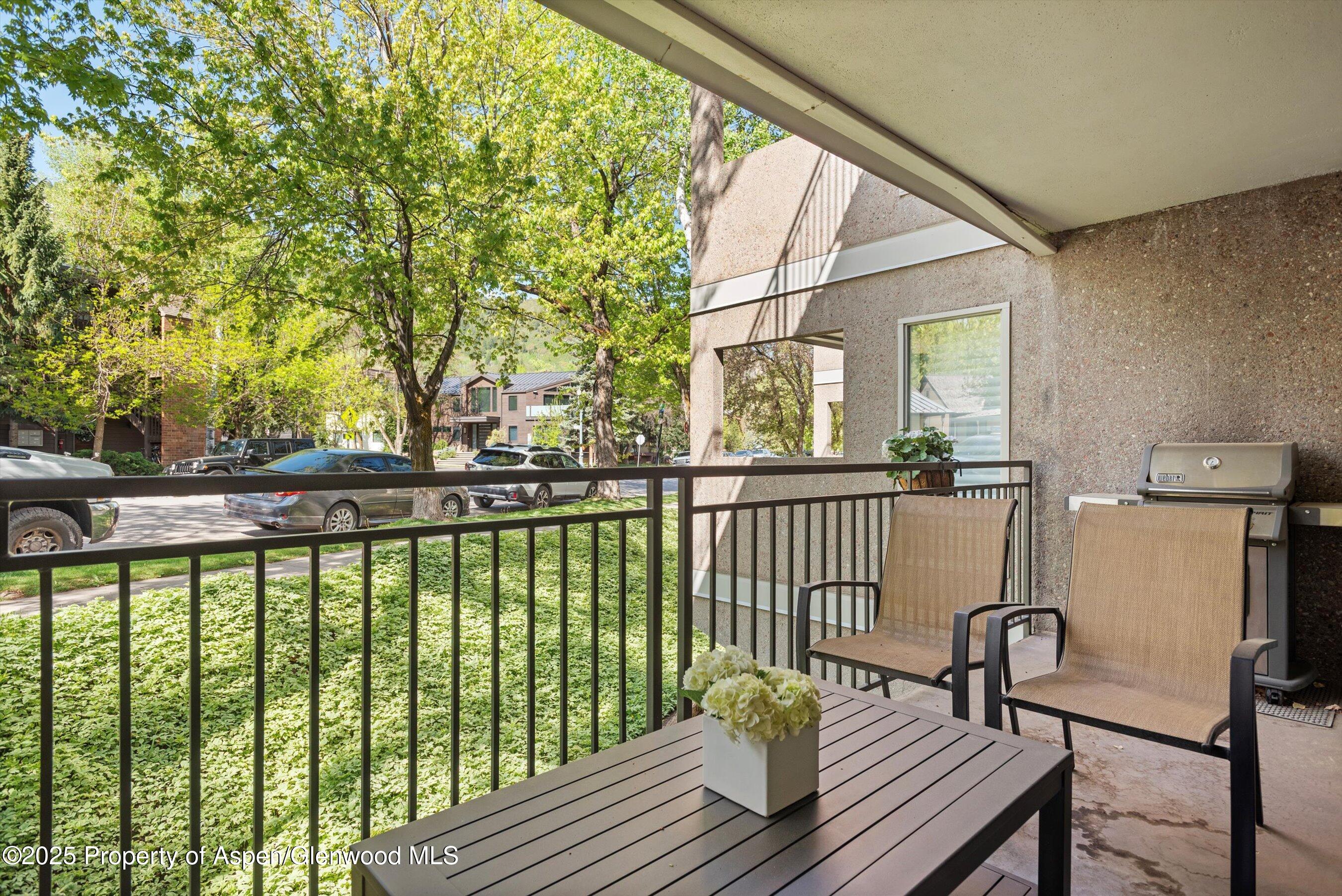800 E Hopkins Avenue Aspen CO 81611