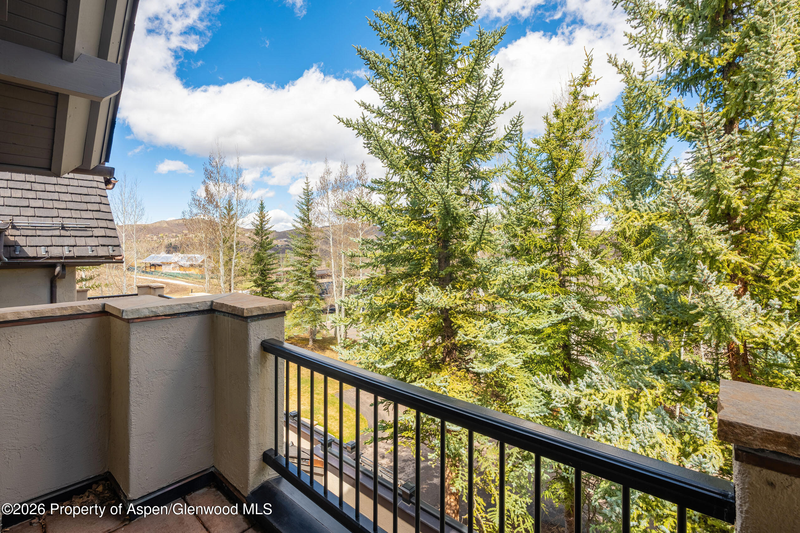 102 Burnt Mountain Drive Snowmass Village CO 81615