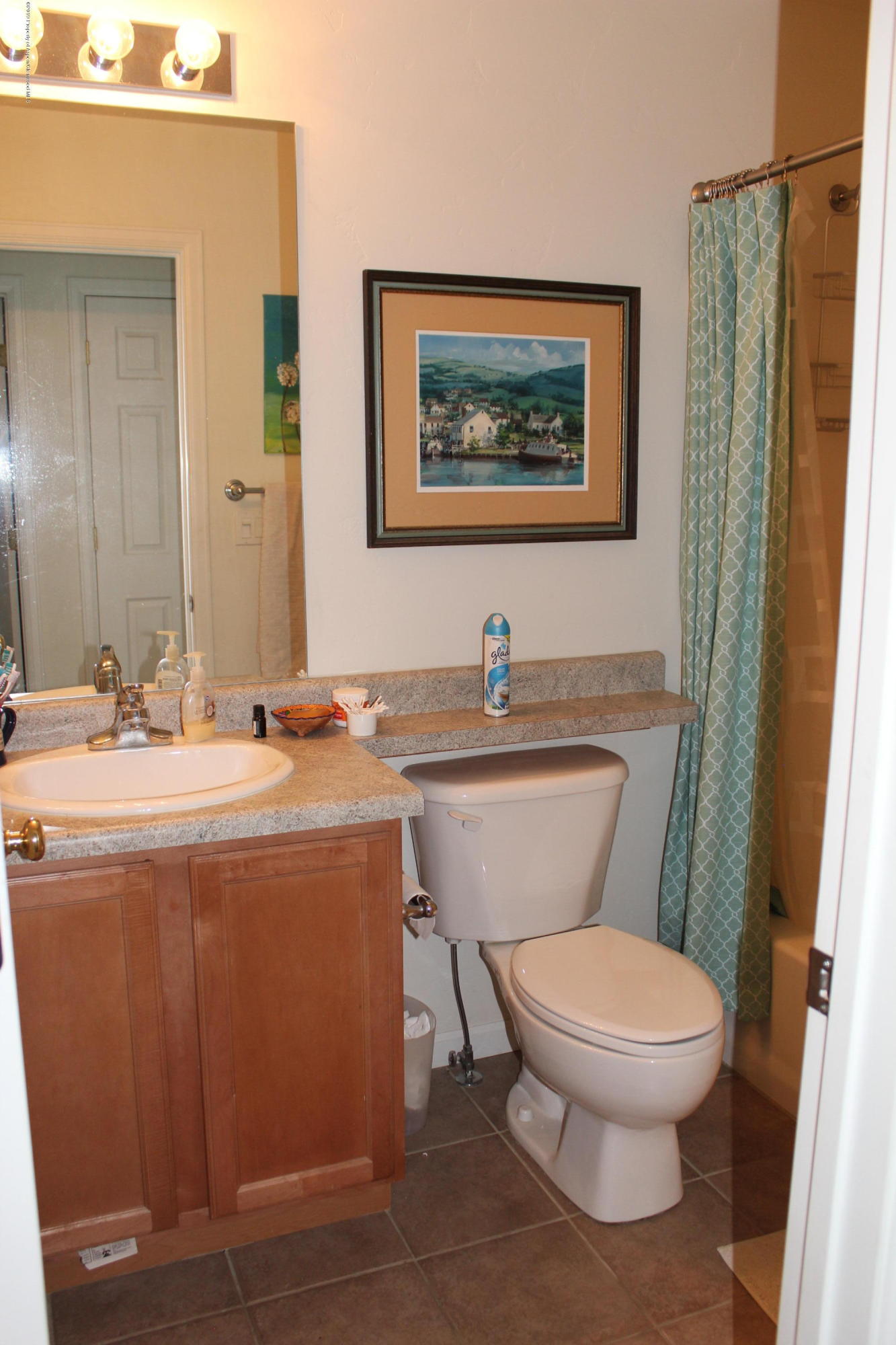 216 W Capital Court New Castle CO 81647
