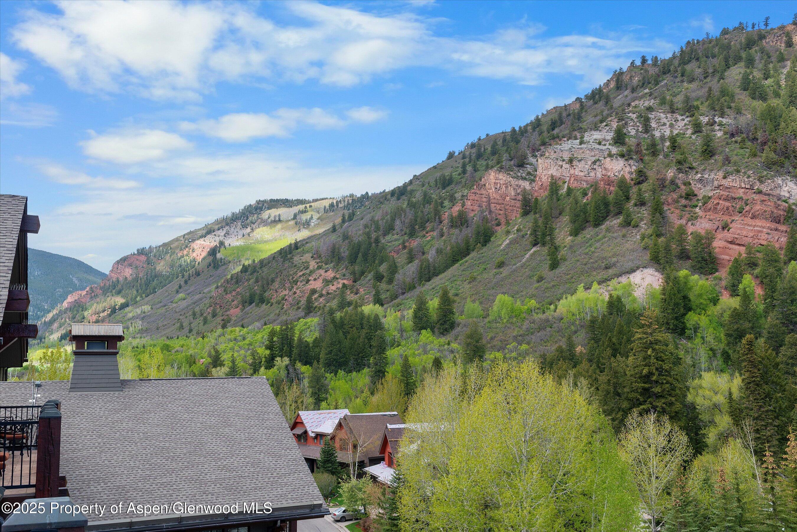 39 Boomerang Road Aspen CO 81611