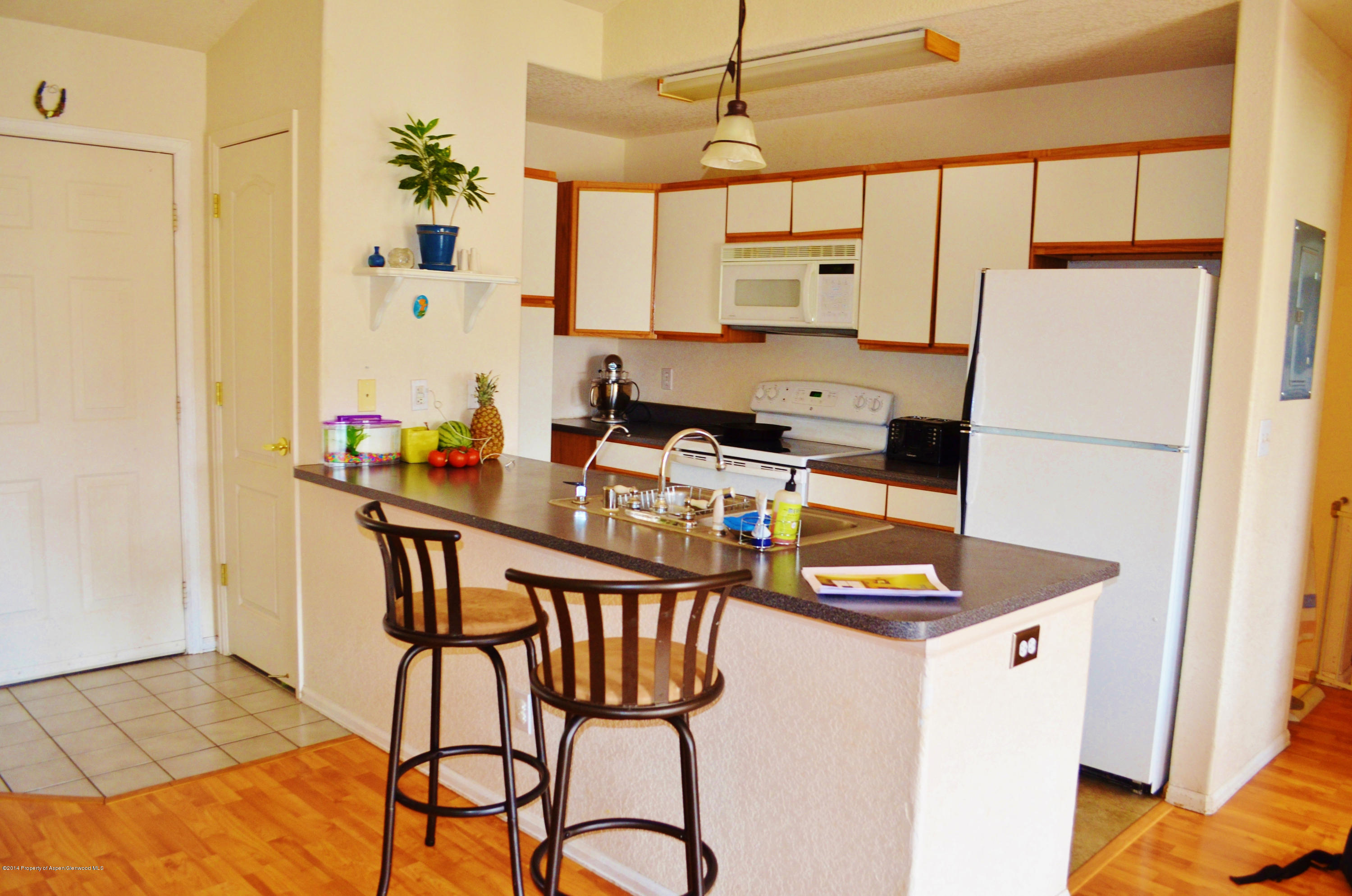 5206 Elk Lane Basalt CO 81621