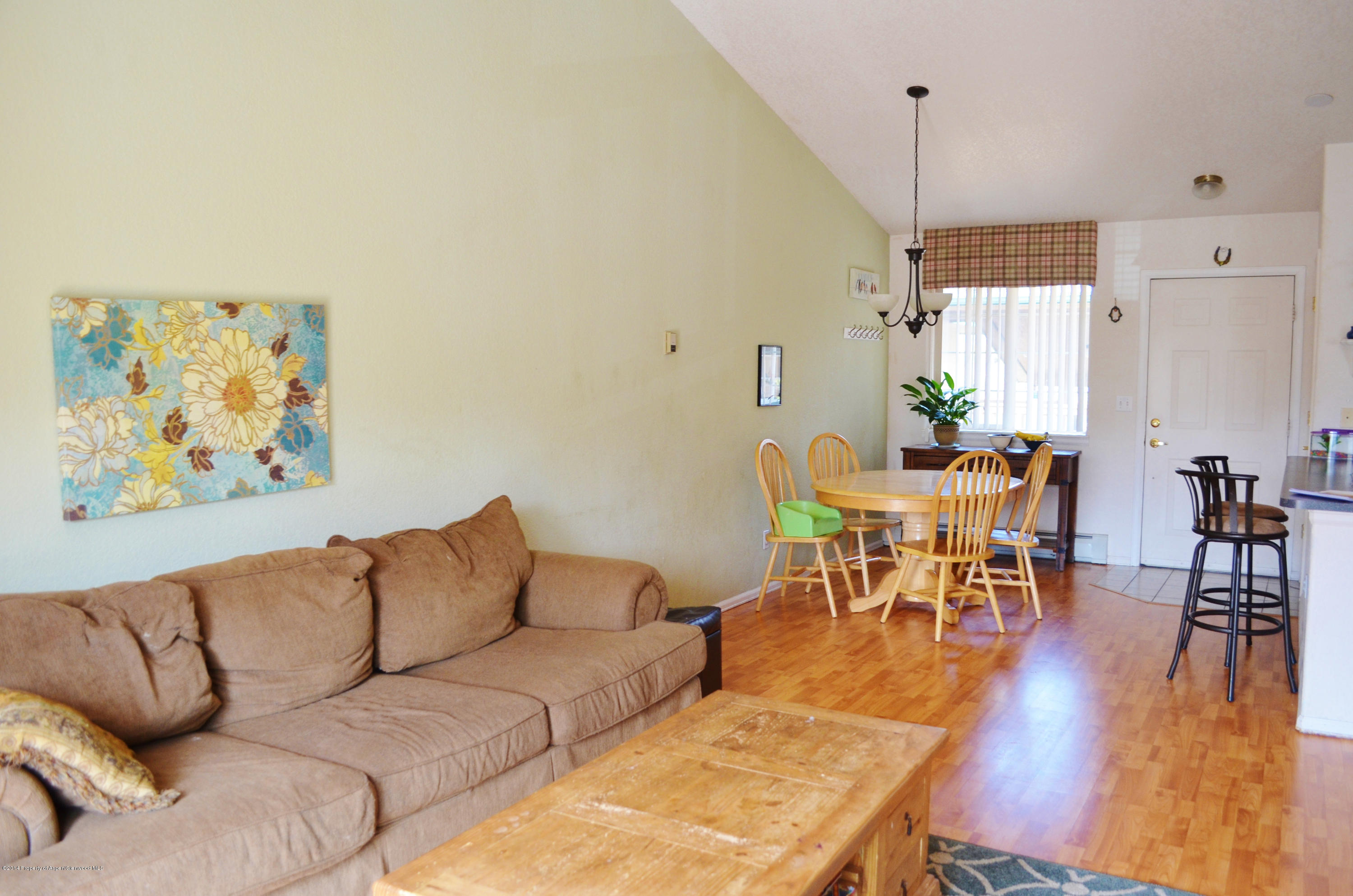 5206 Elk Lane Basalt CO 81621