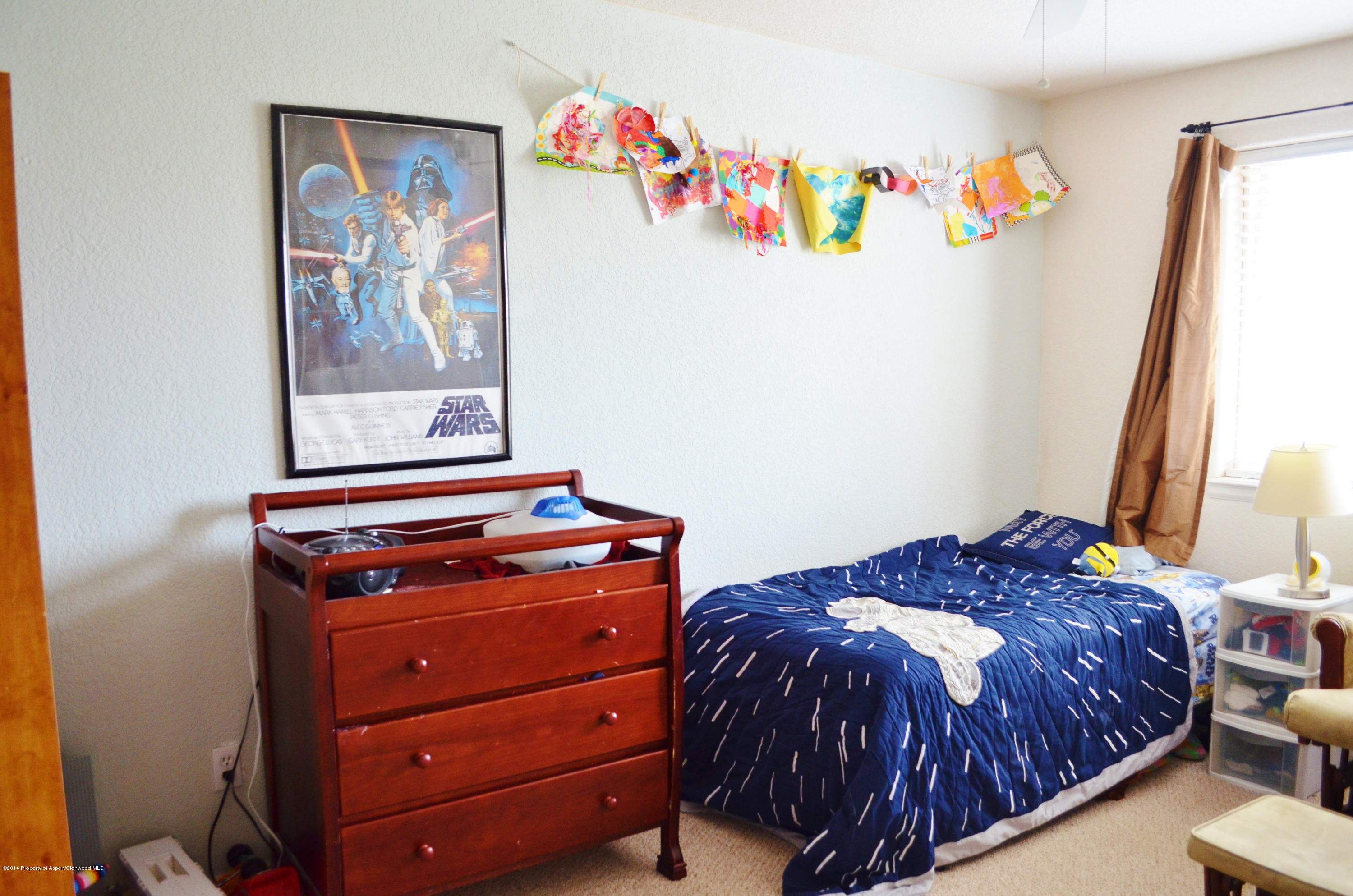 5206 Elk Lane Basalt CO 81621