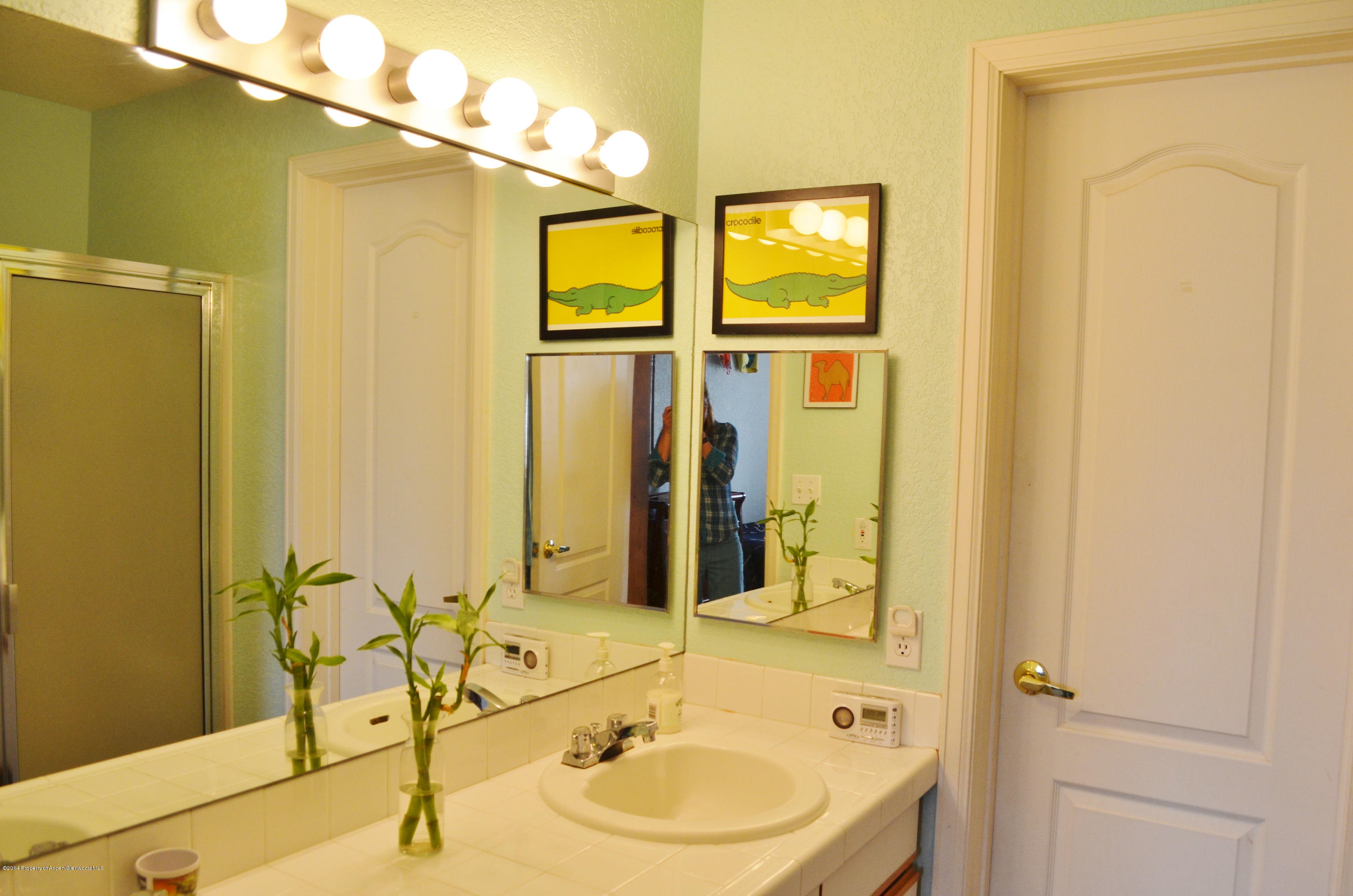 5206 Elk Lane Basalt CO 81621