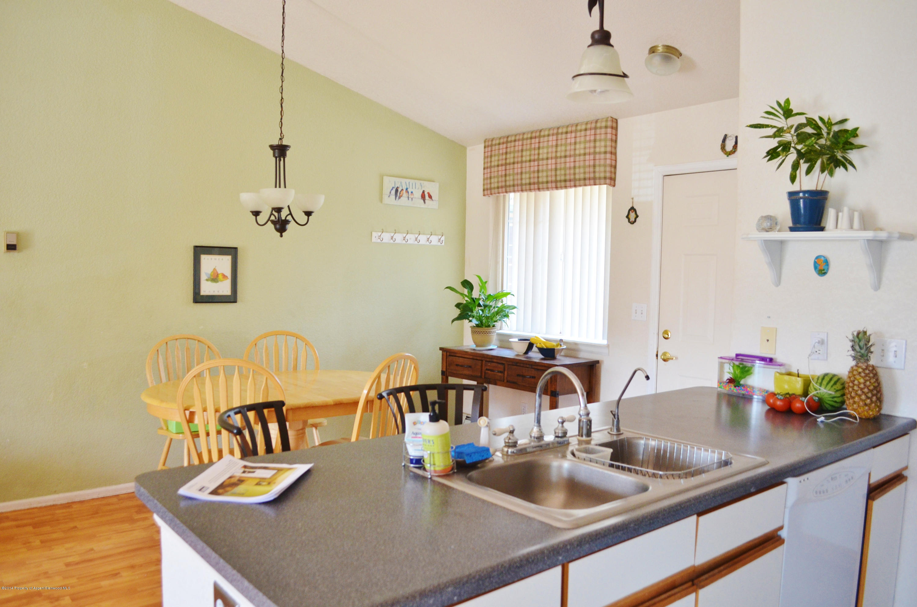 5206 Elk Lane Basalt CO 81621
