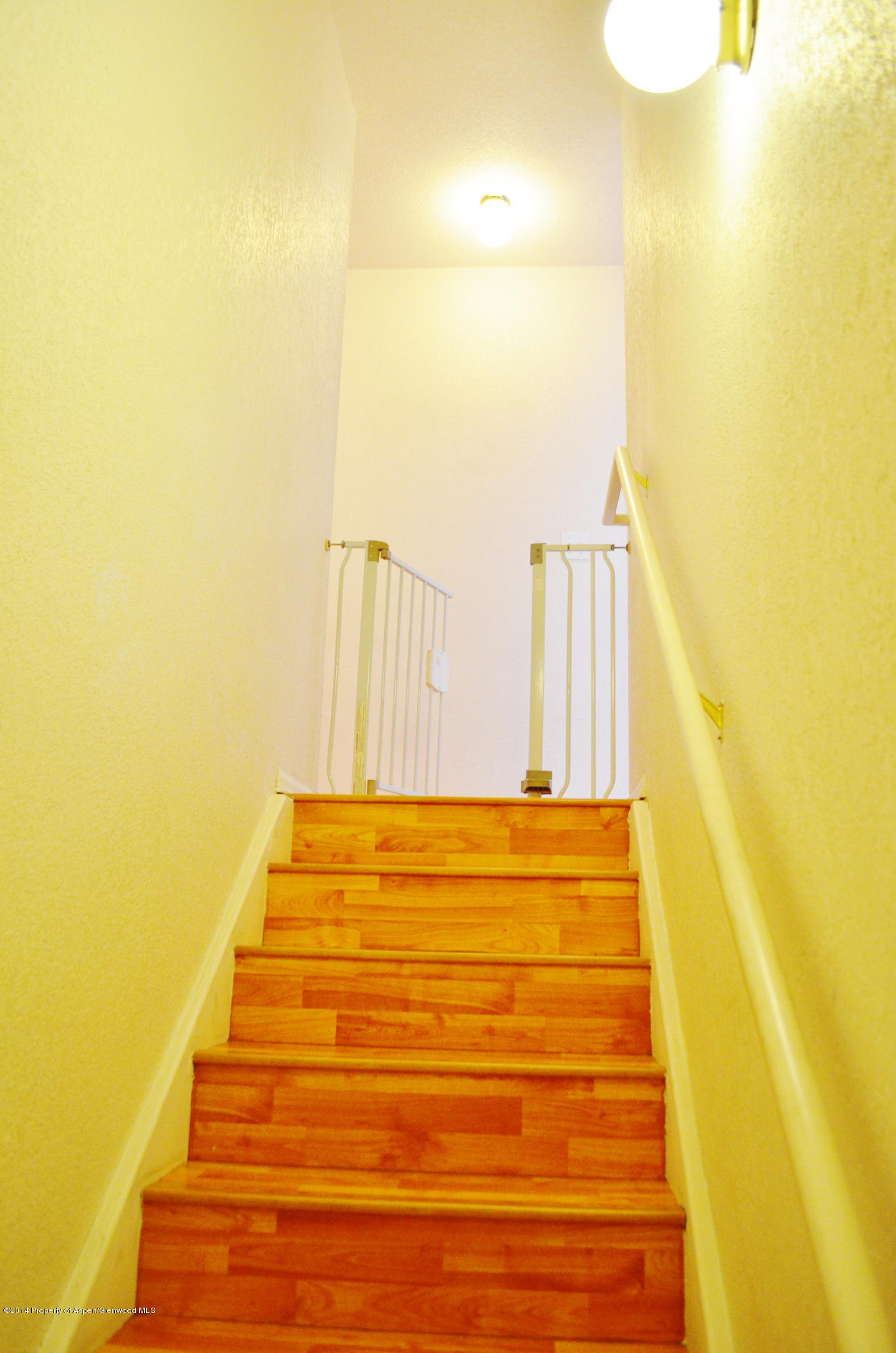 5206 Elk Lane Basalt CO 81621