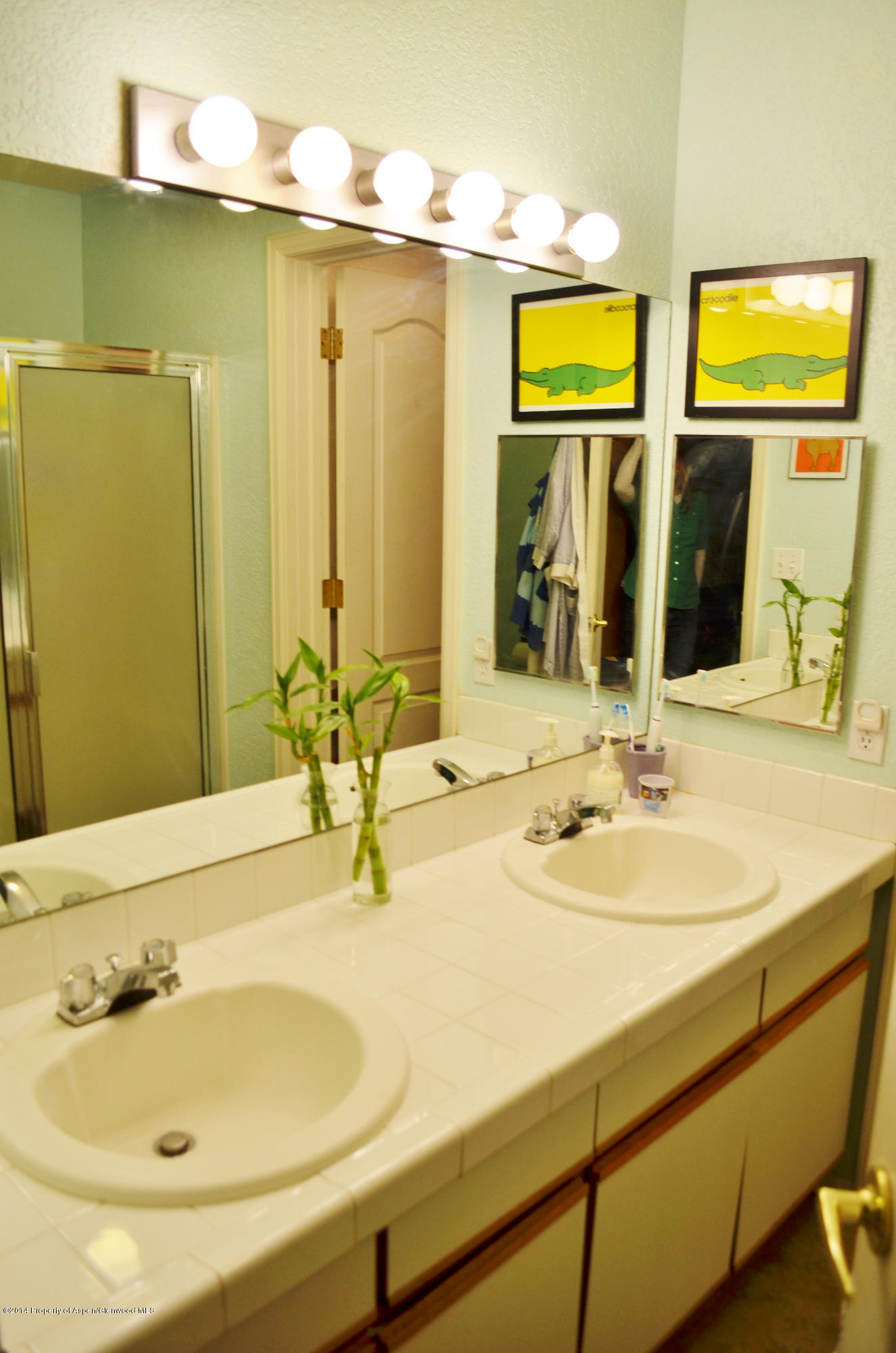 5206 Elk Lane Basalt CO 81621