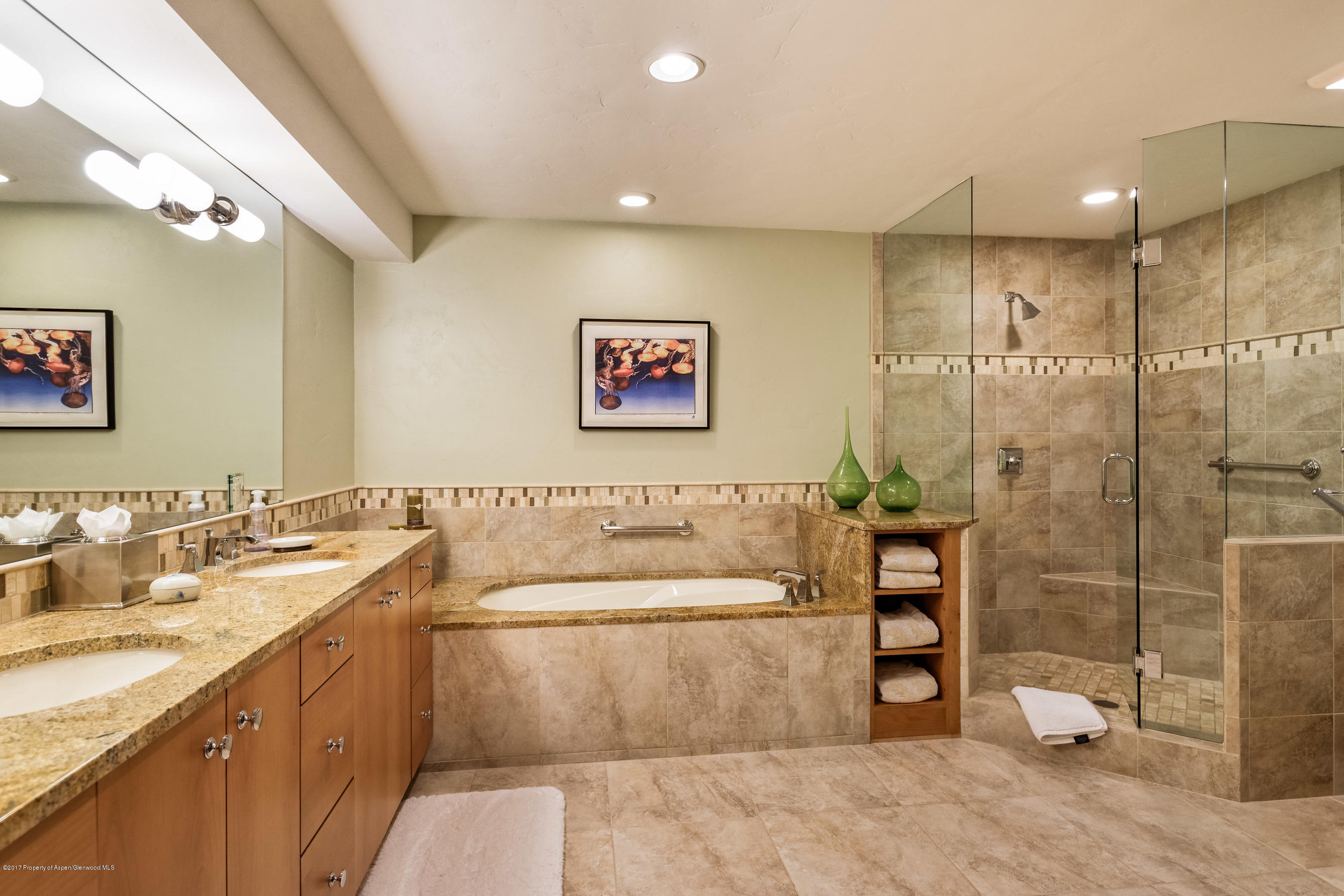 381 Meadow Ranch Snowmass Village CO 81615