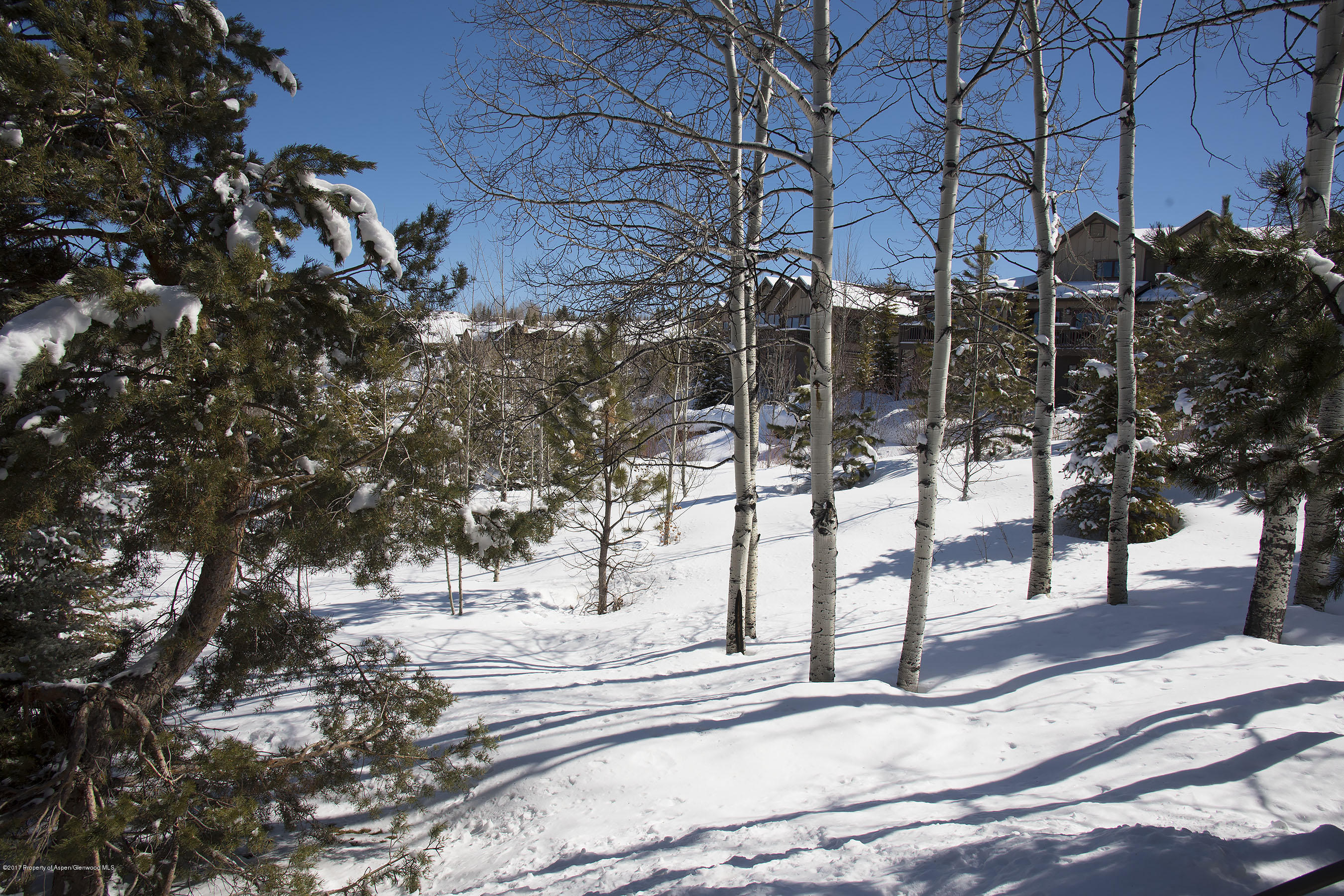 381 Meadow Ranch Snowmass Village CO 81615