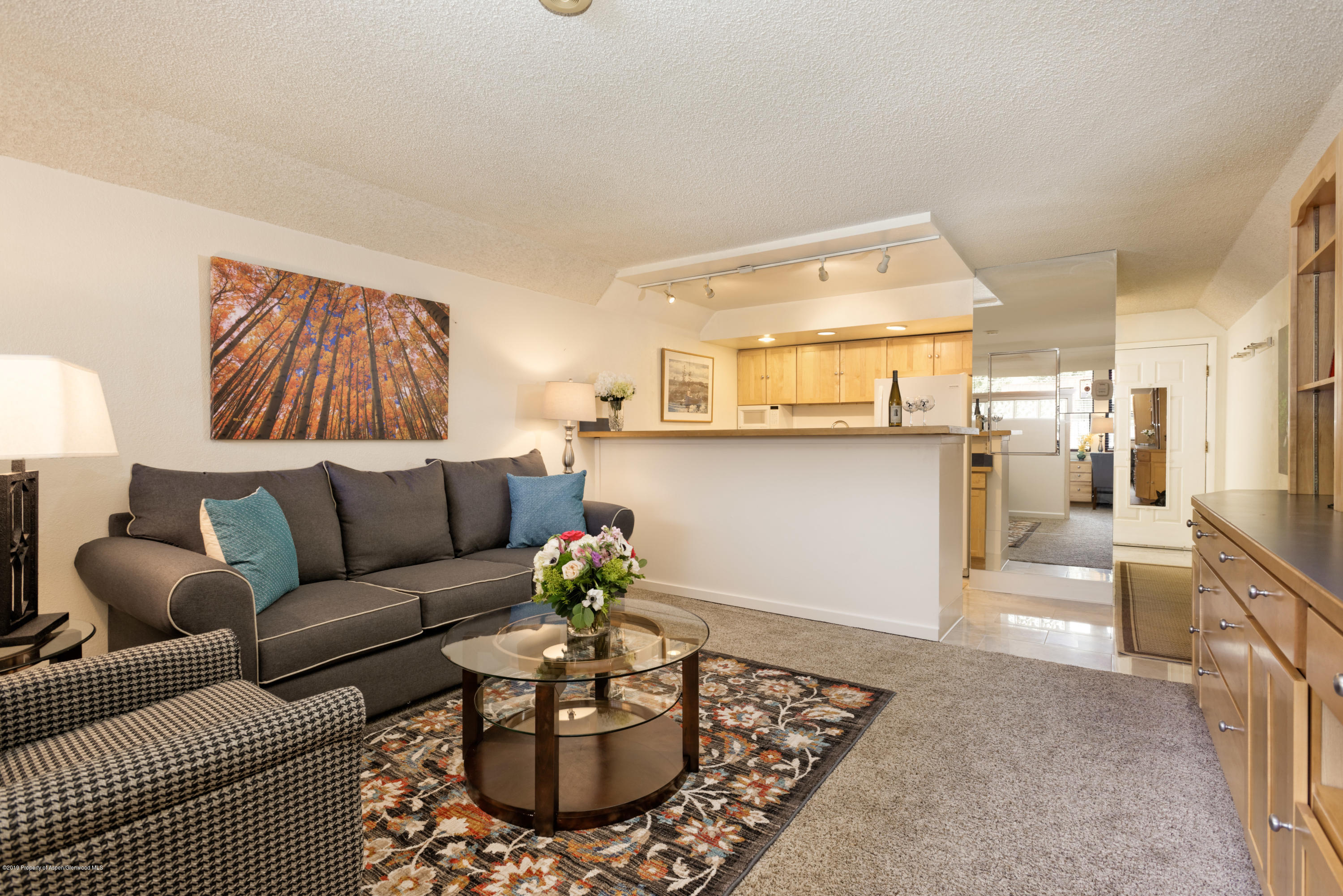 911 Vine Street Aspen CO 81611