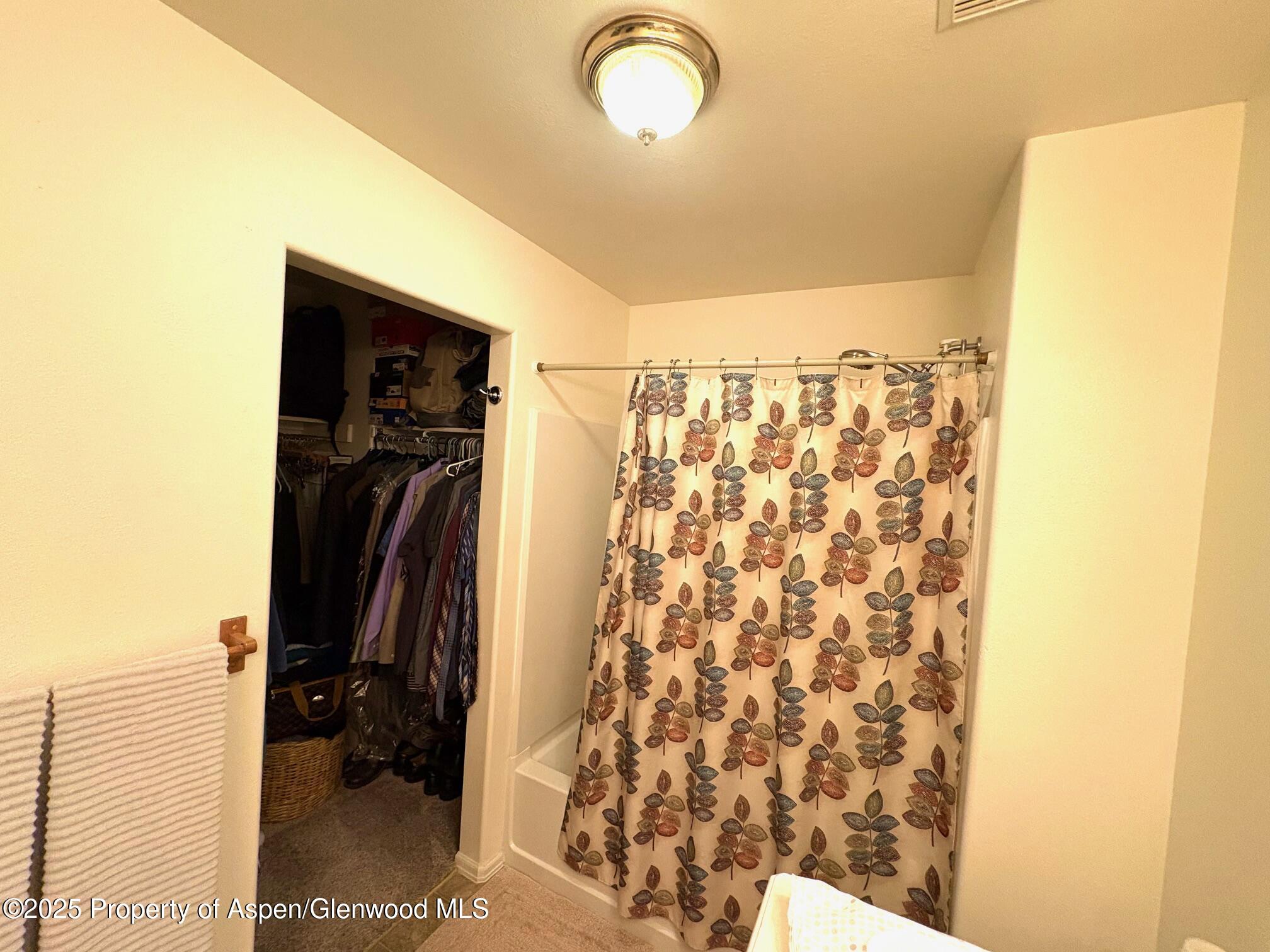 119 Angelica Circle Parachute CO 81635