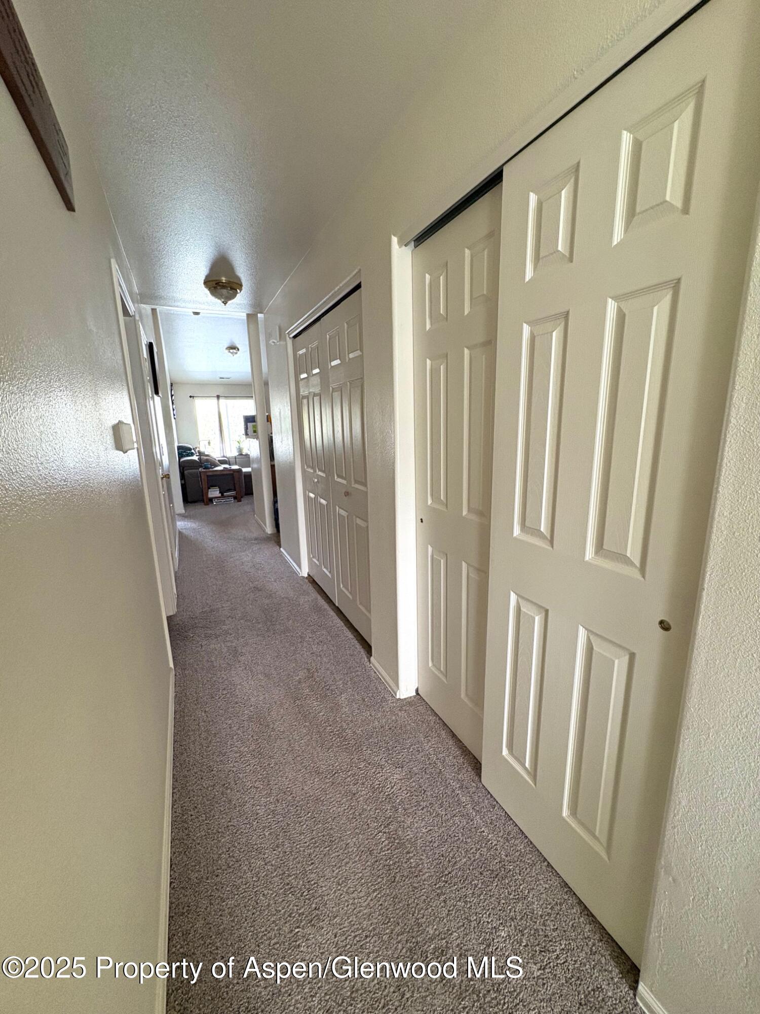 119 Angelica Circle Parachute CO 81635