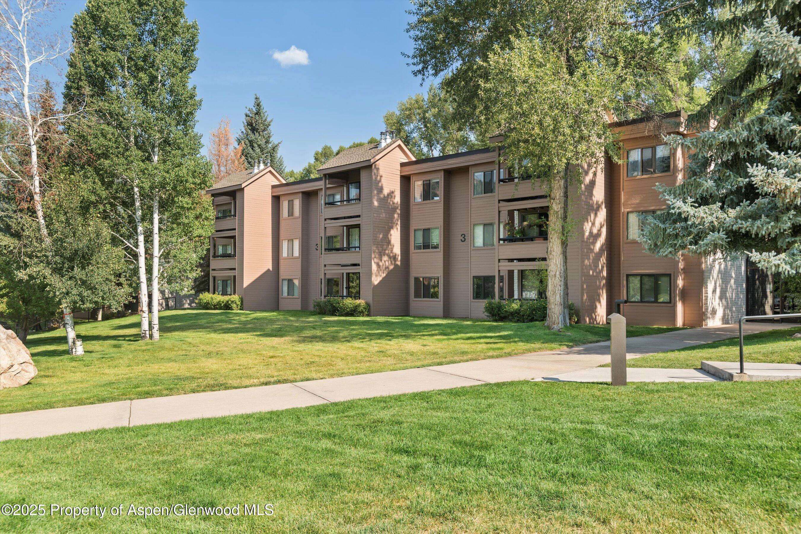 332 Vine Street Aspen CO 81611