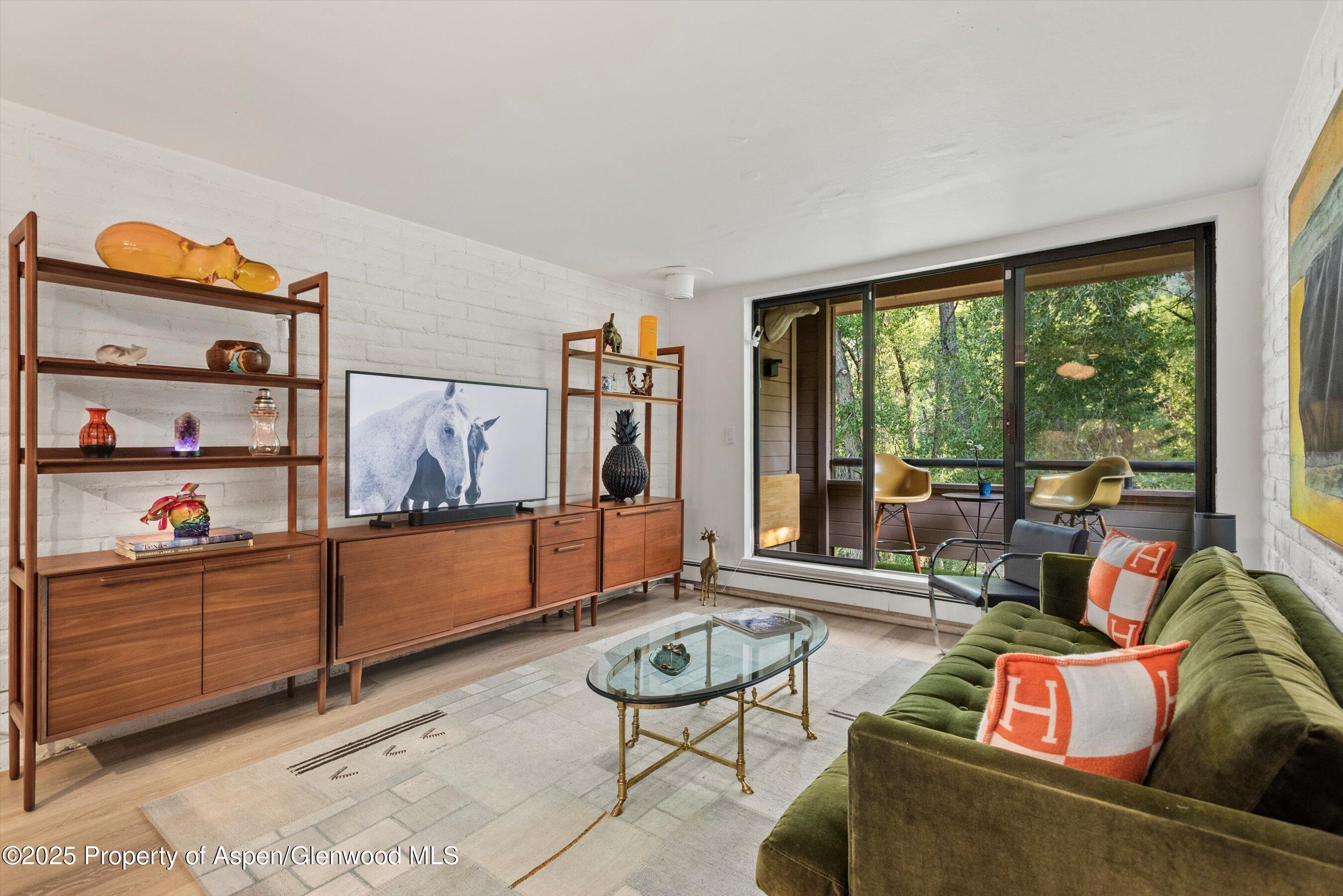 332 Vine Street Aspen CO 81611