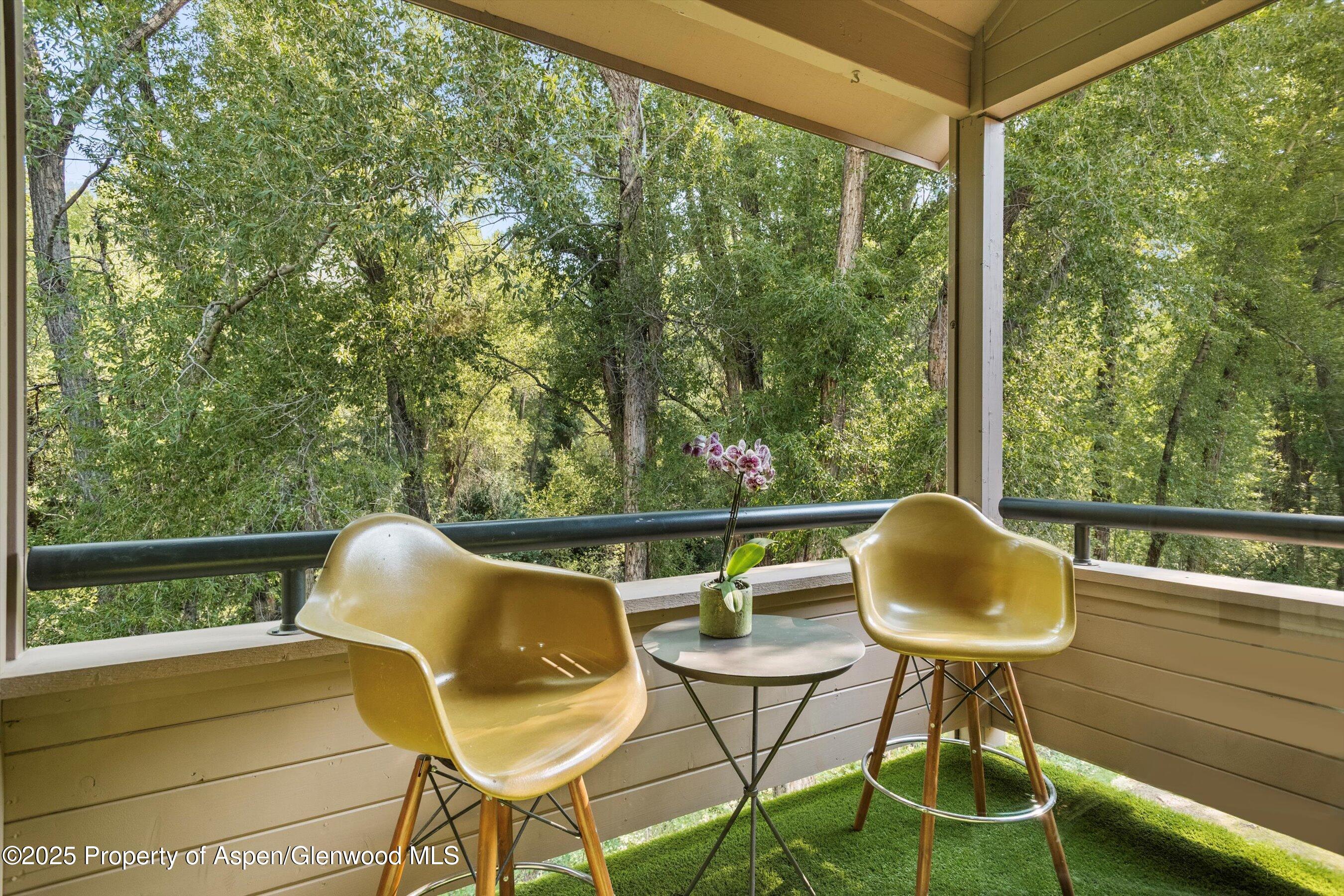 332 Vine Street Aspen CO 81611