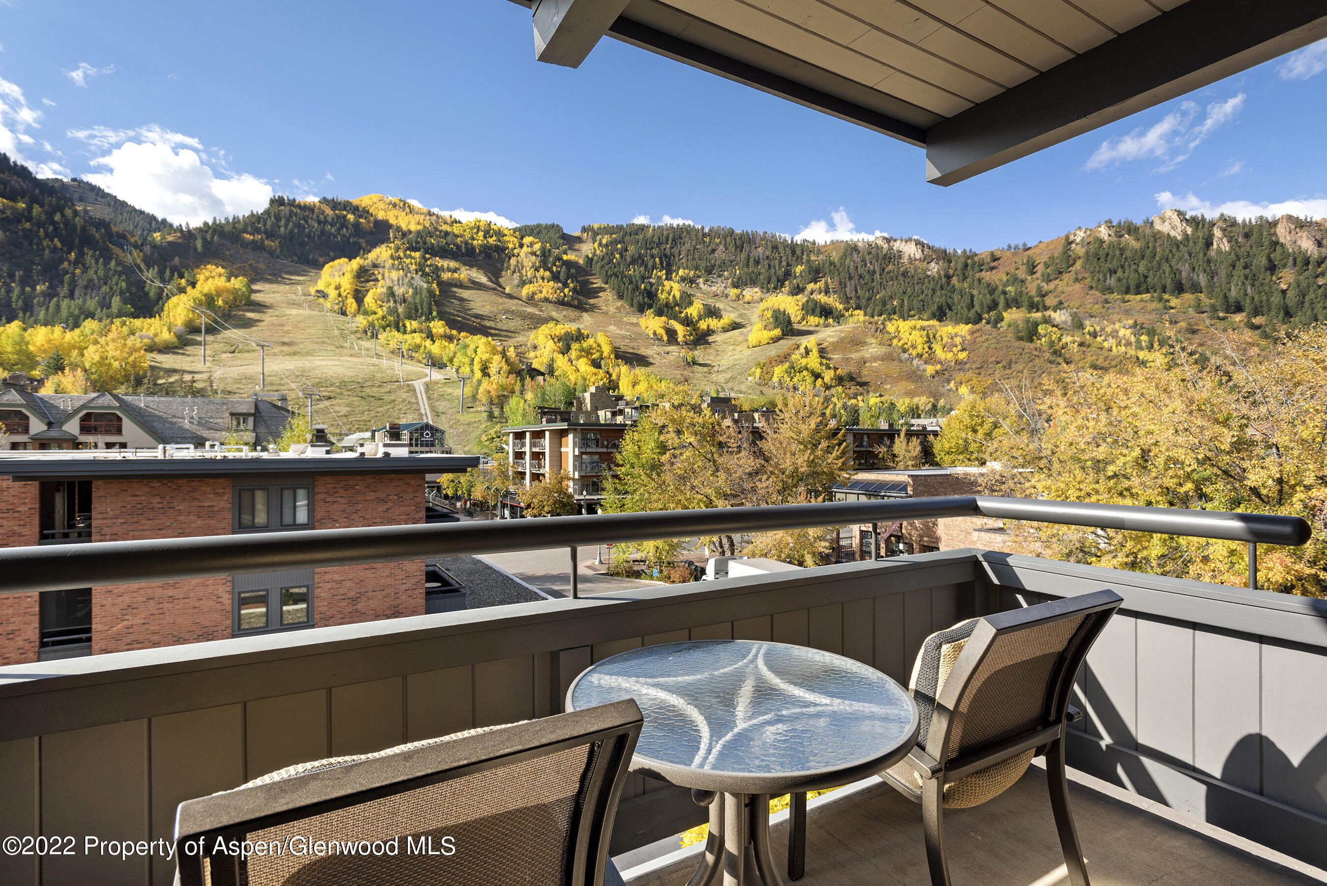 617 E Cooper Street Aspen CO 81611