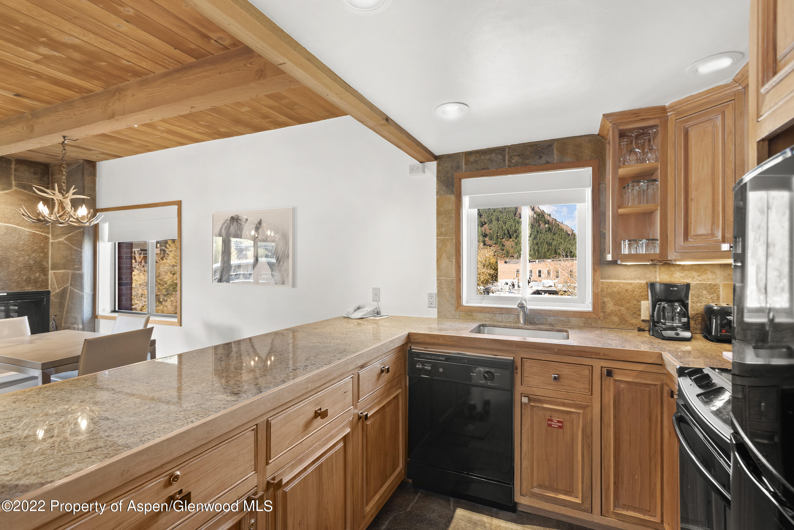 617 E Cooper Street Aspen CO 81611