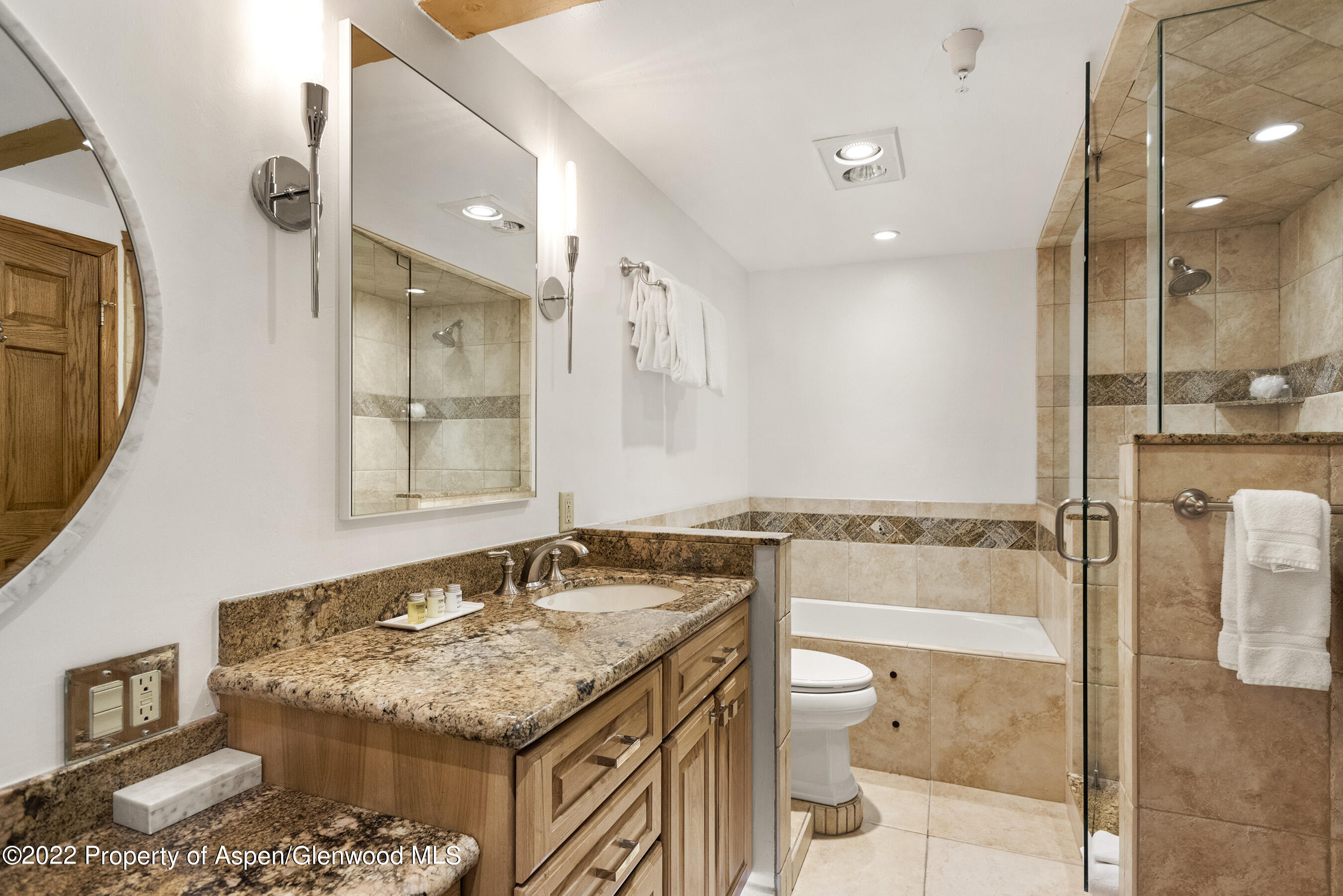 617 E Cooper Street Aspen CO 81611