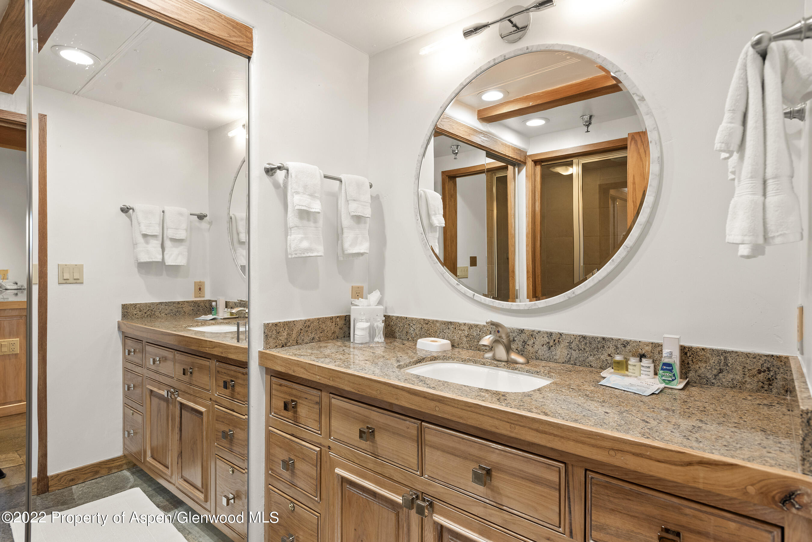 617 E Cooper Street Aspen CO 81611