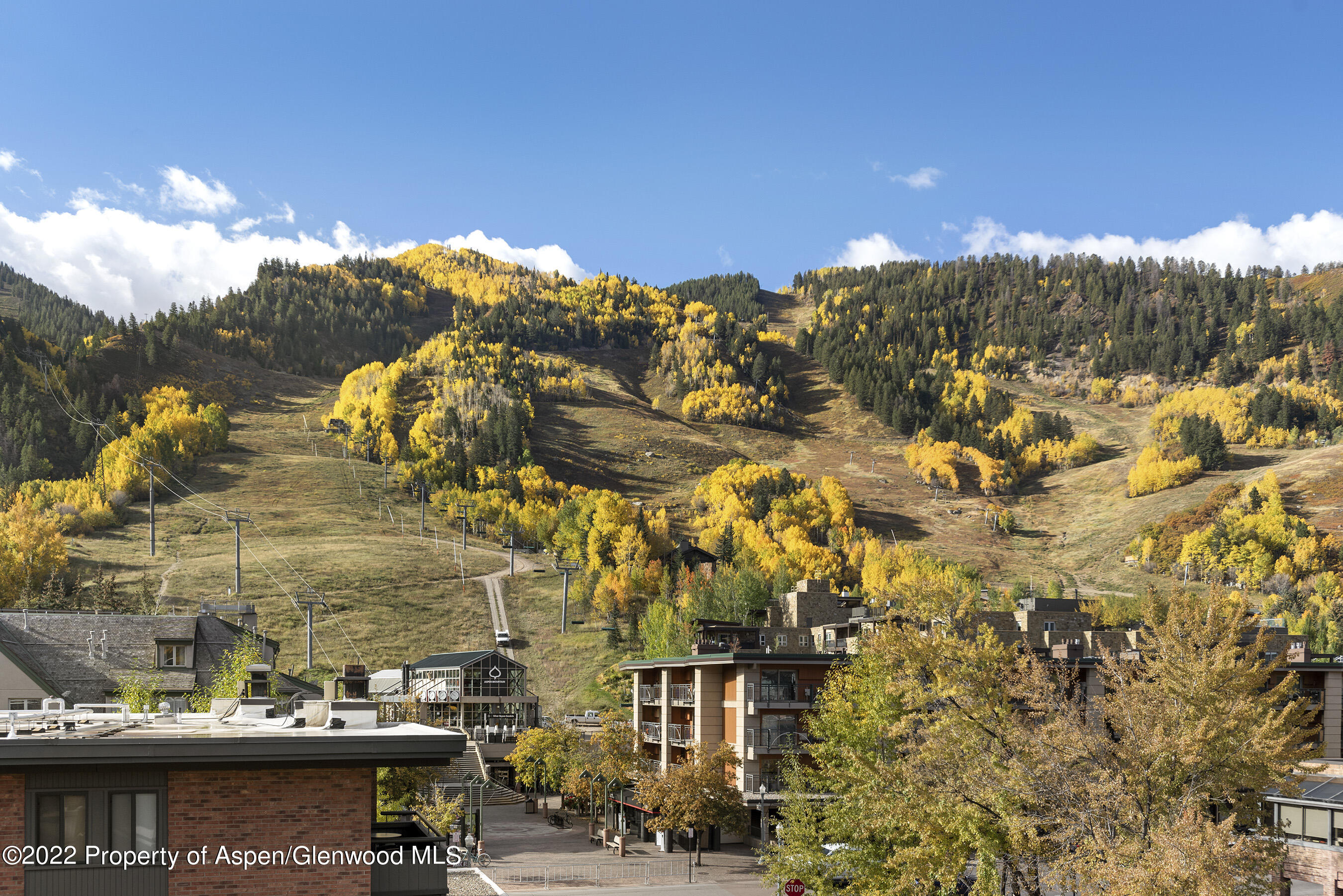 617 E Cooper Street Aspen CO 81611