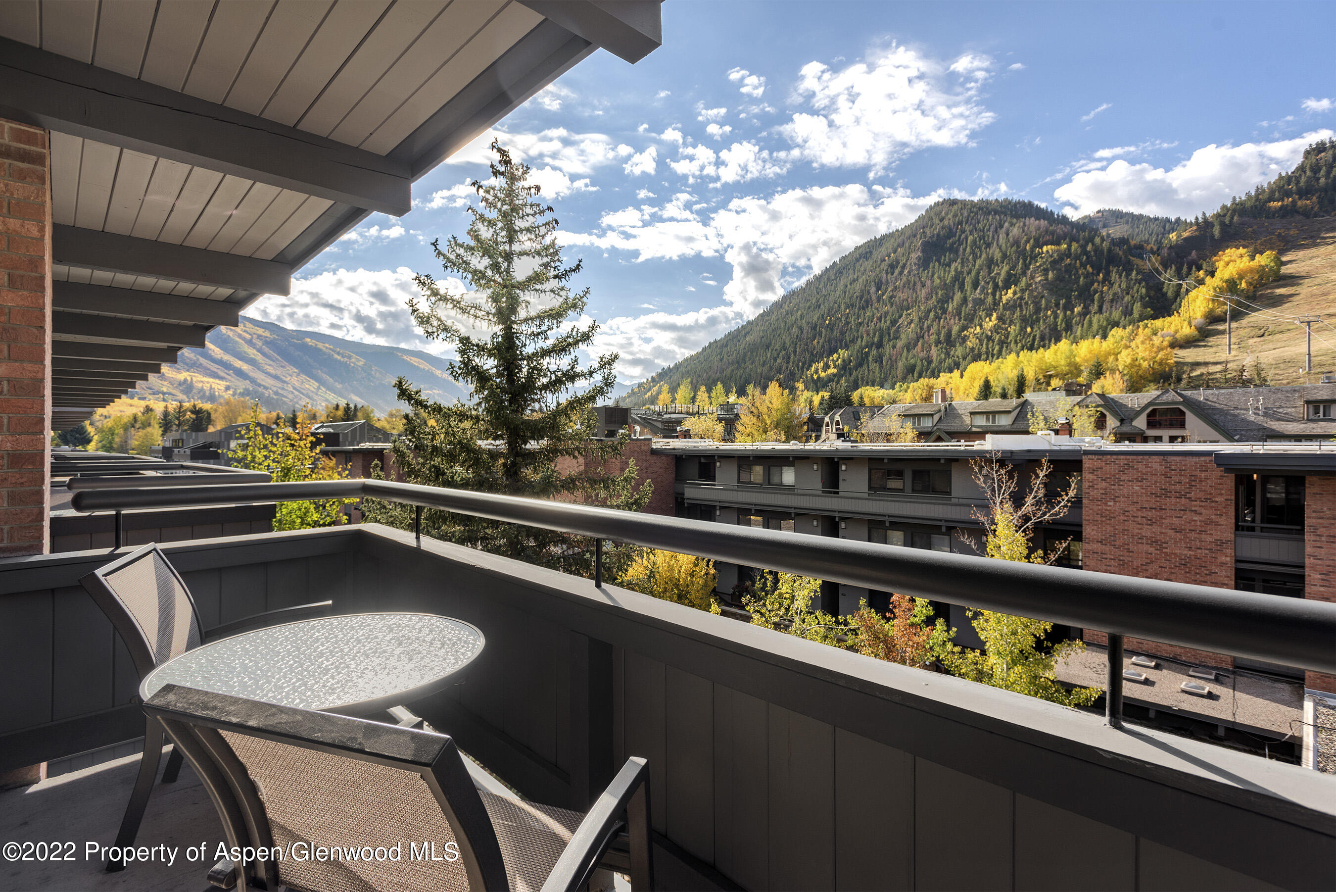 617 E Cooper Street Aspen CO 81611