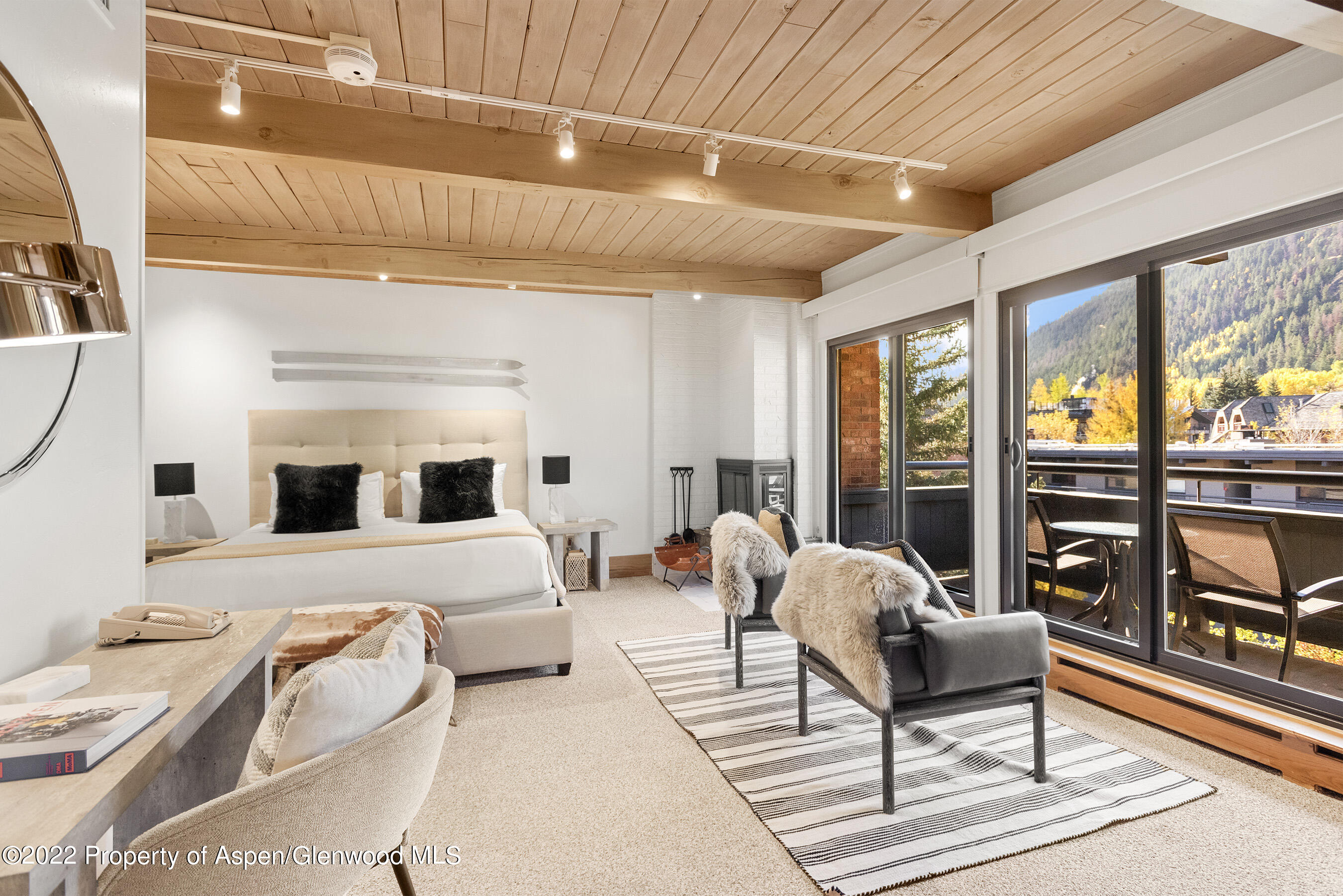 617 E Cooper Street Aspen CO 81611