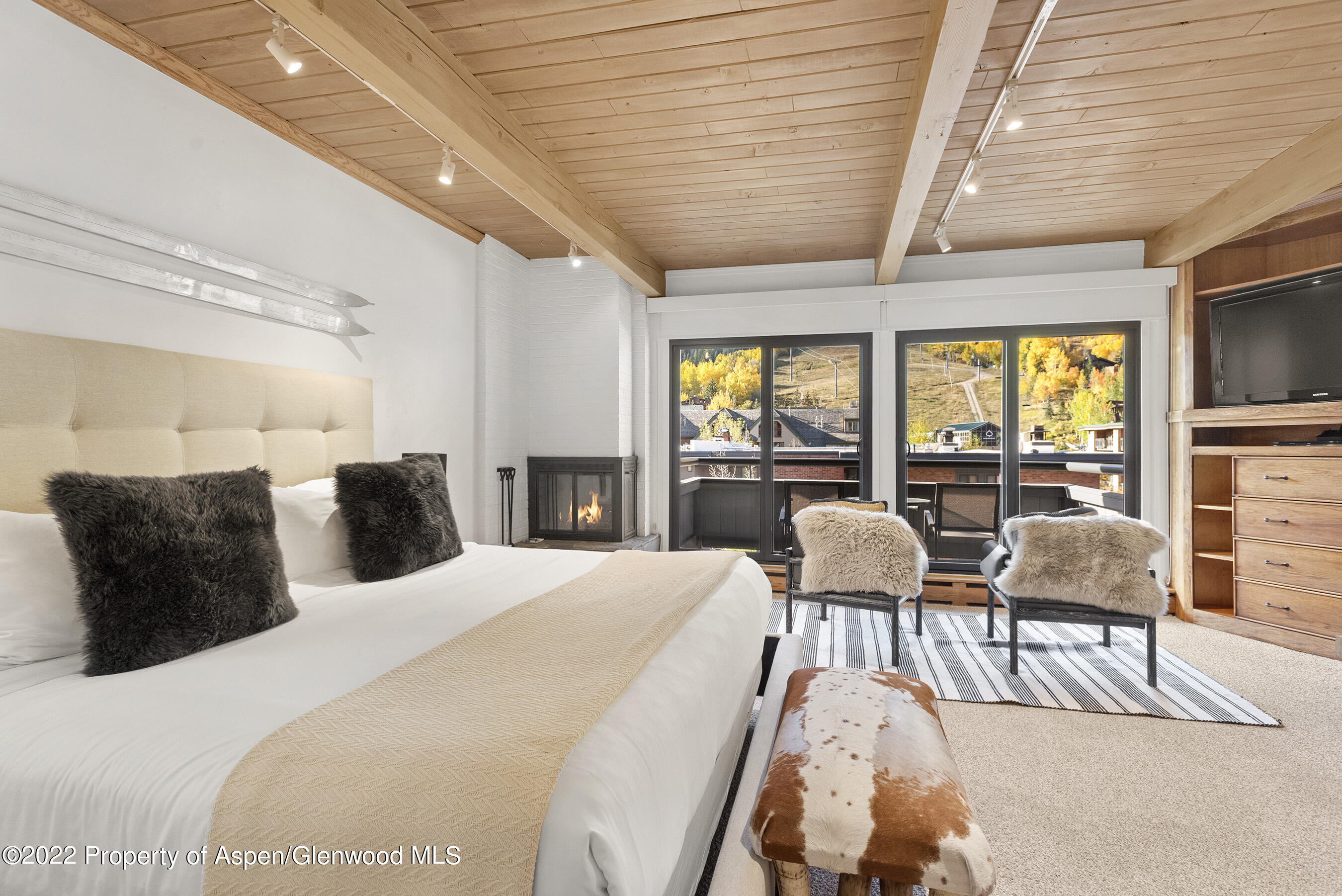 617 E Cooper Street Aspen CO 81611