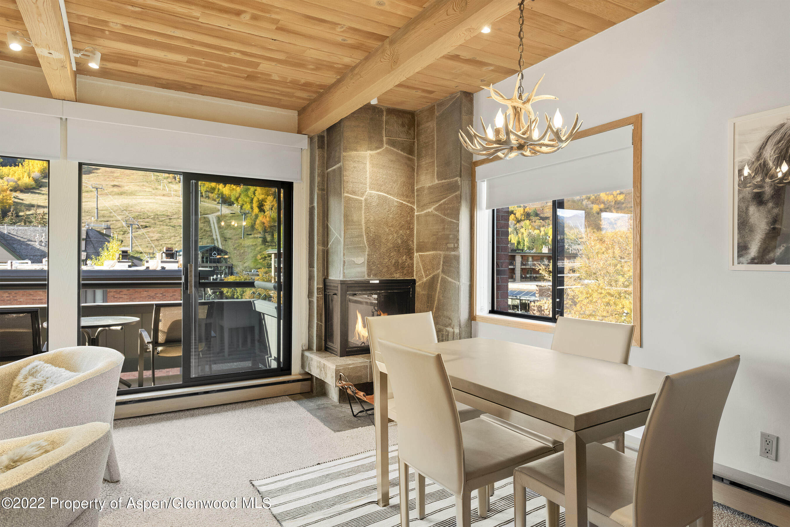 617 E Cooper Street Aspen CO 81611
