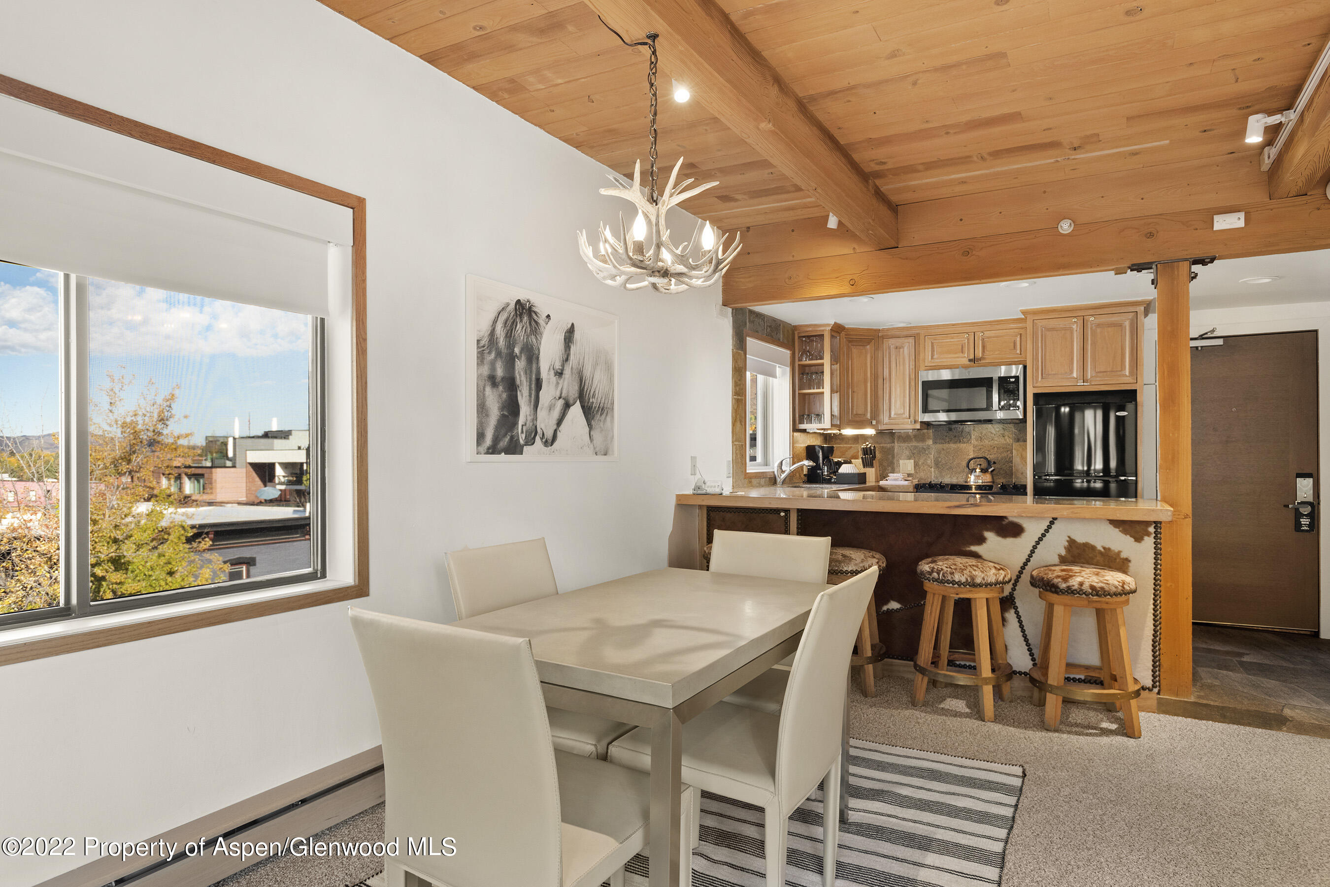 617 E Cooper Street Aspen CO 81611