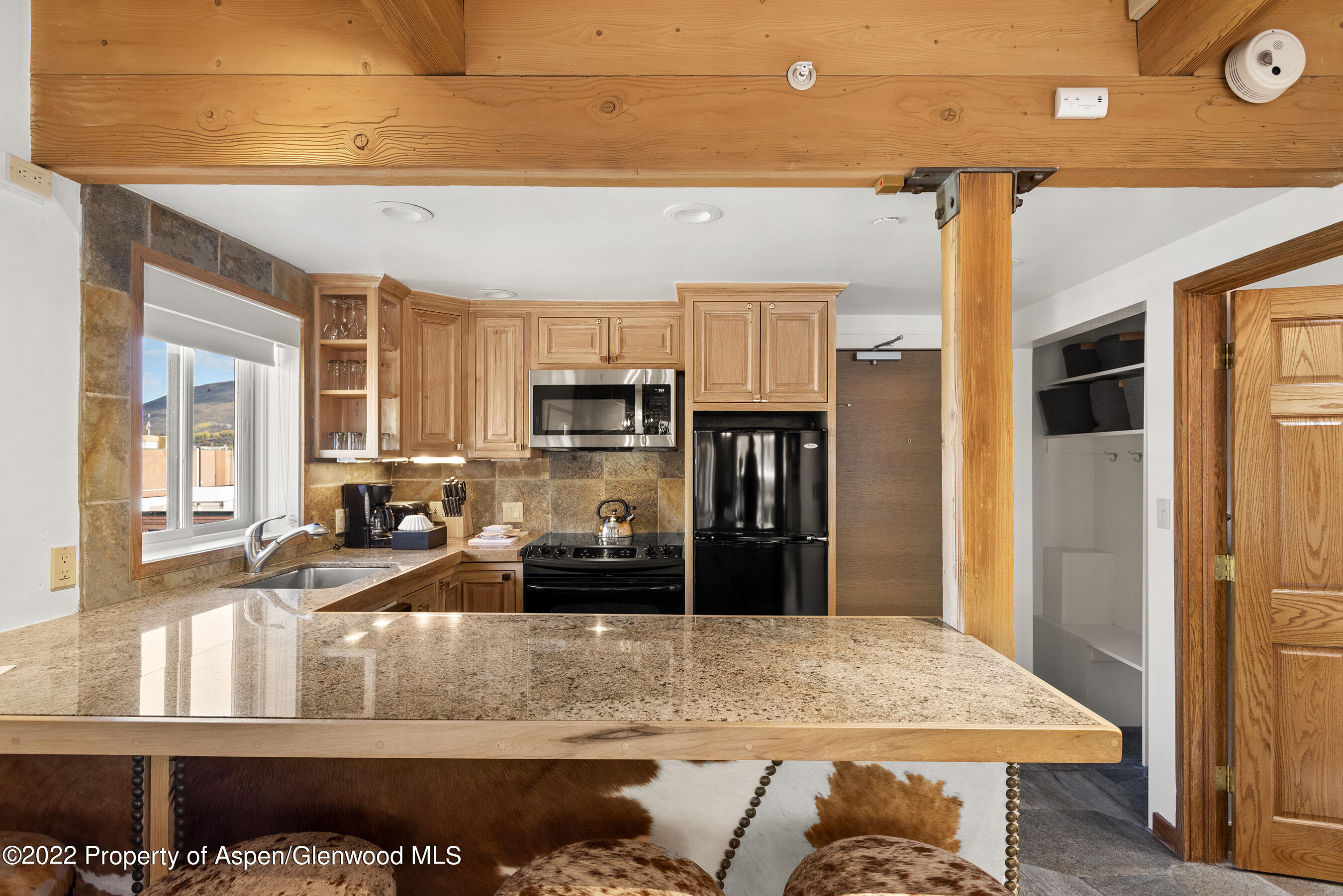 617 E Cooper Street Aspen CO 81611