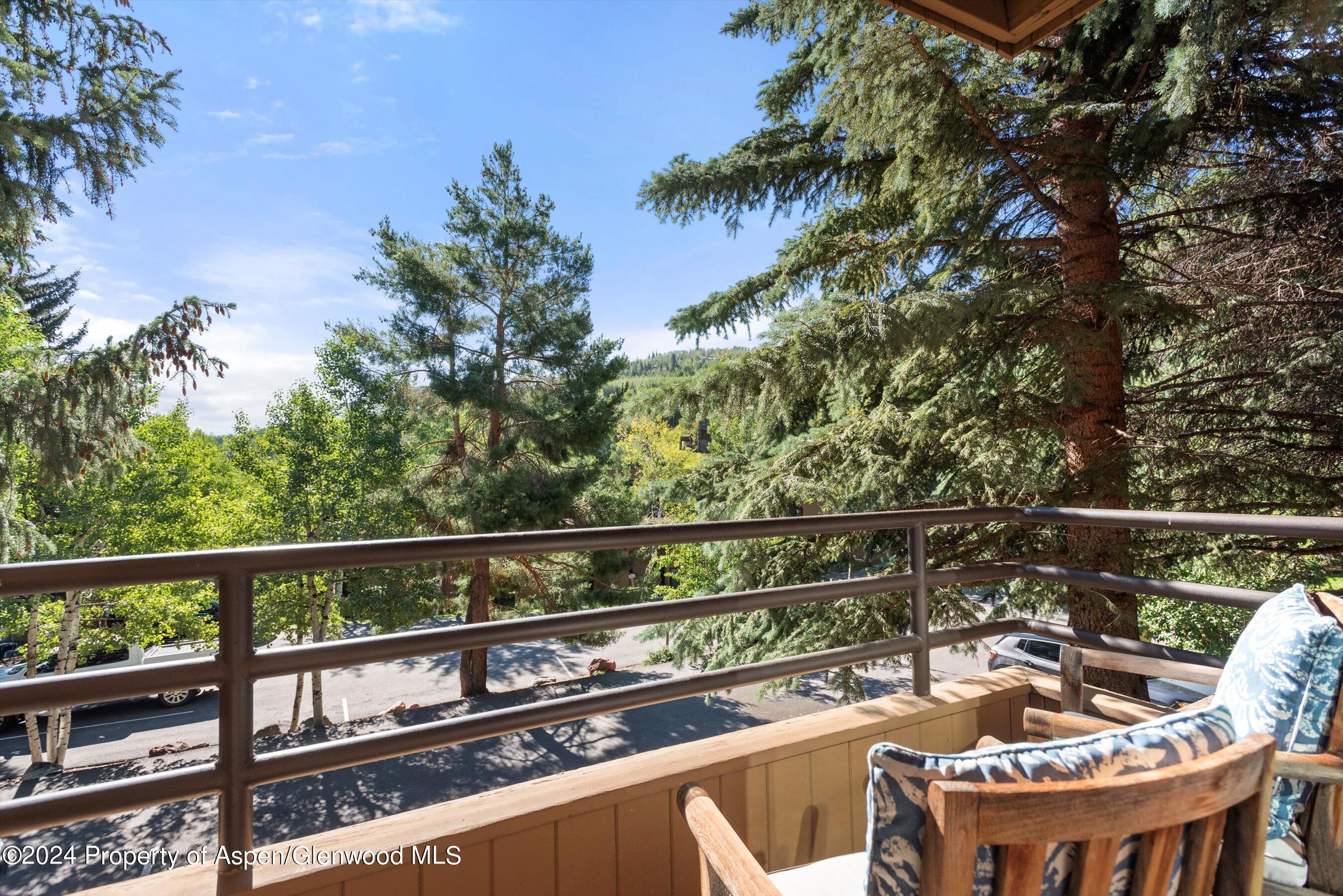 35 Lower Woodbridge Road Snowmass Village CO 81615