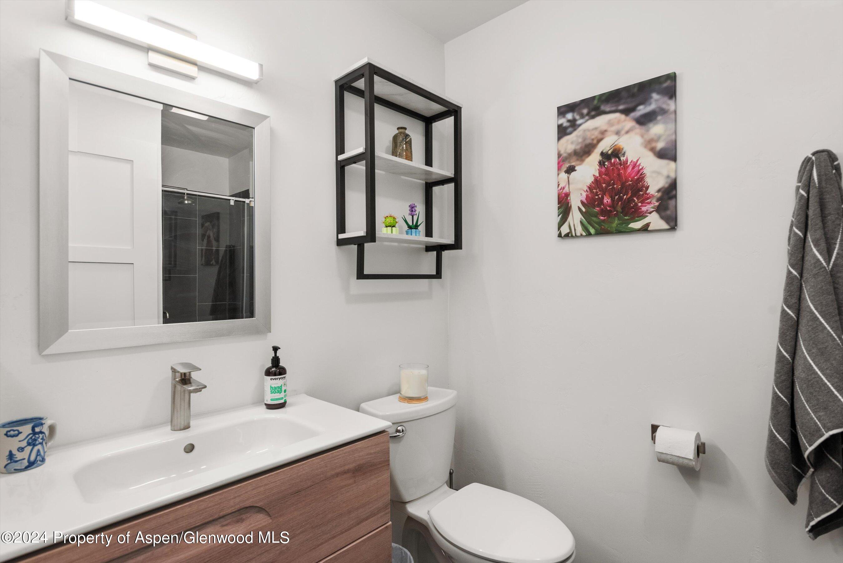 35 Lower Woodbridge Road Snowmass Village CO 81615