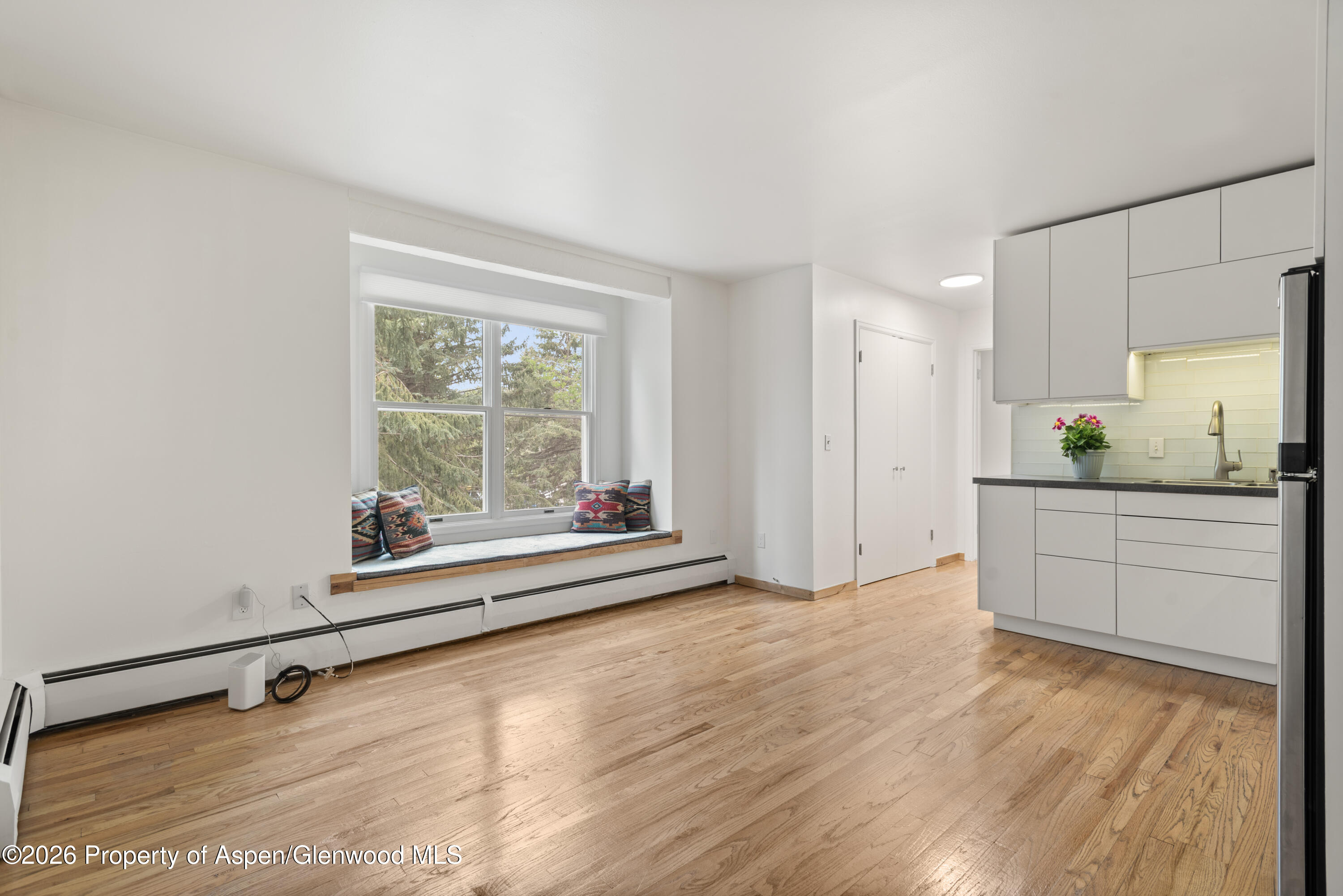 Aspen CO, 415 Pacific Avenue, Unit C