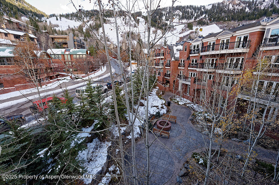 415 E Dean Street, Unit 31, Weeks 51/52 Aspen CO 81611