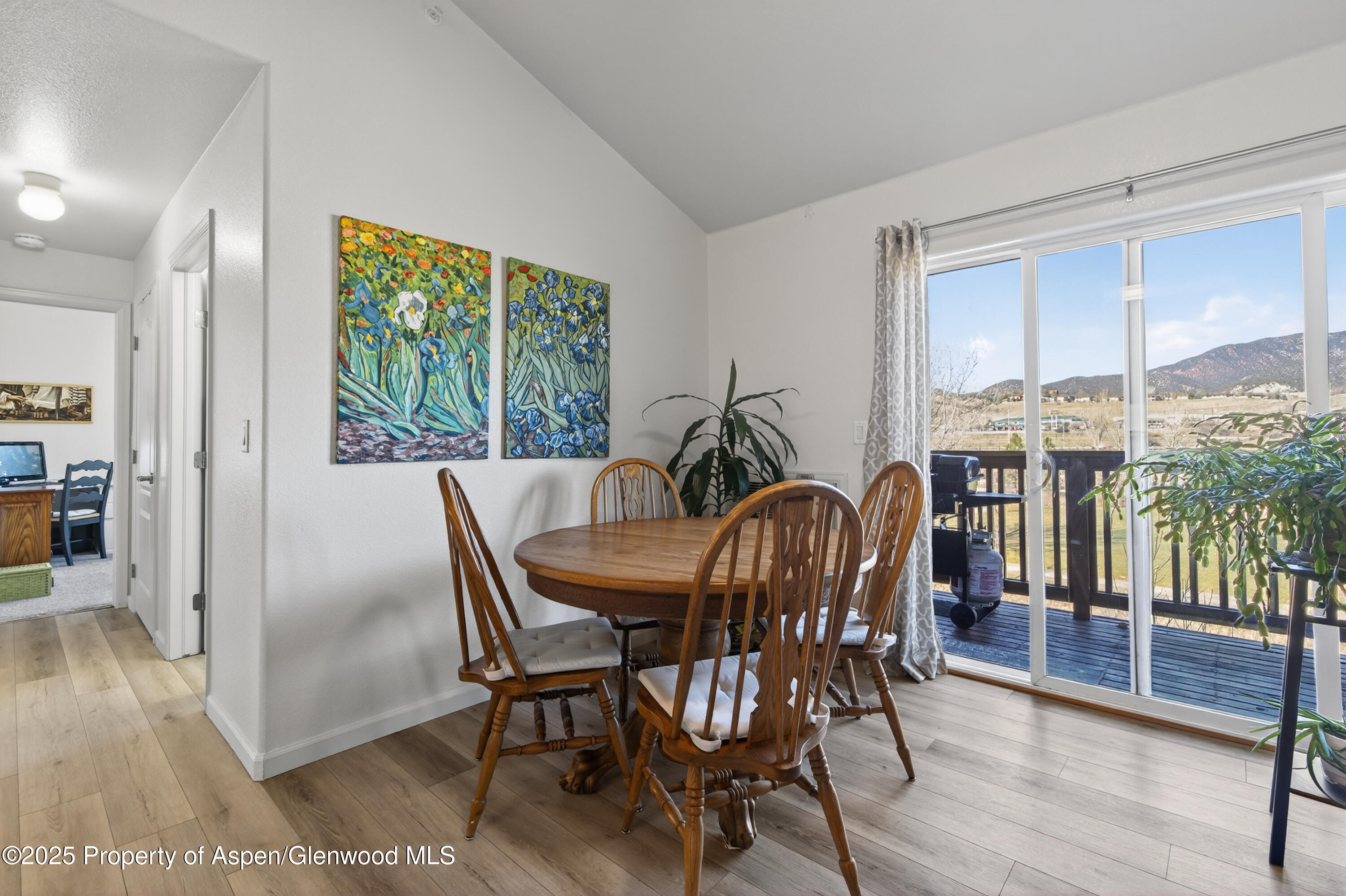 433 River View Drive New Castle CO 81647